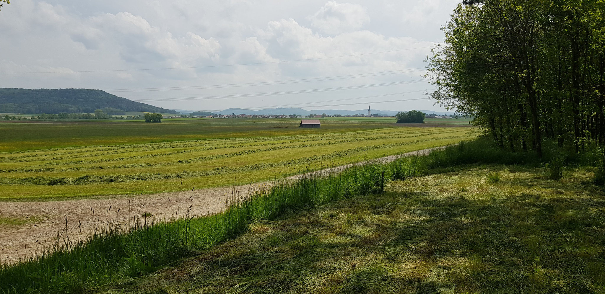 Unter Hohe Ahnt, Blick nach Berngau.