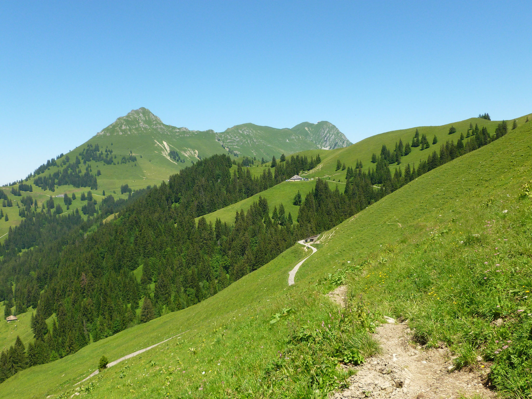 Rückblick auf Teysachaux (links) und Moléson.