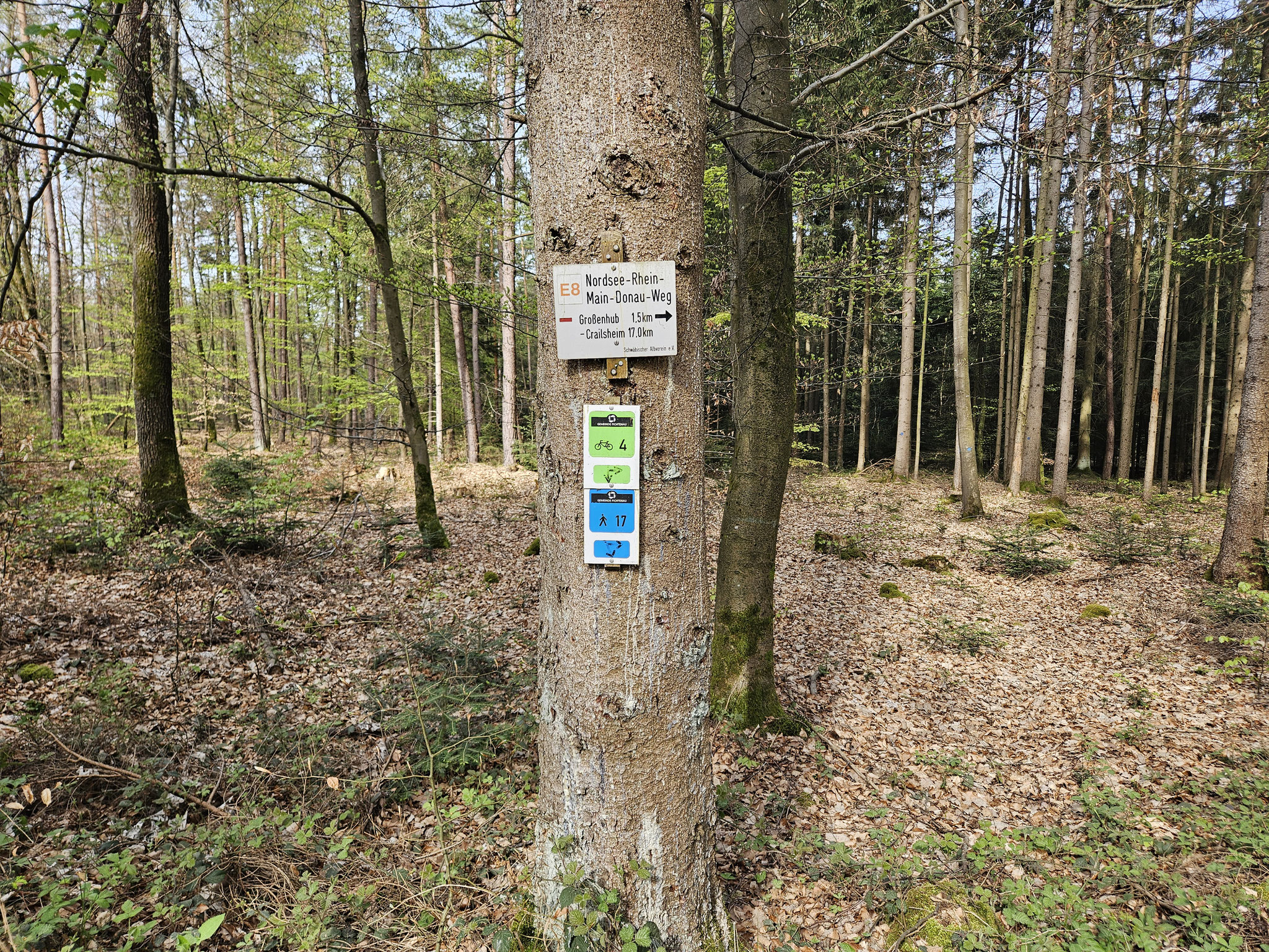 Wegmarke des E8 vor Grossenhub.