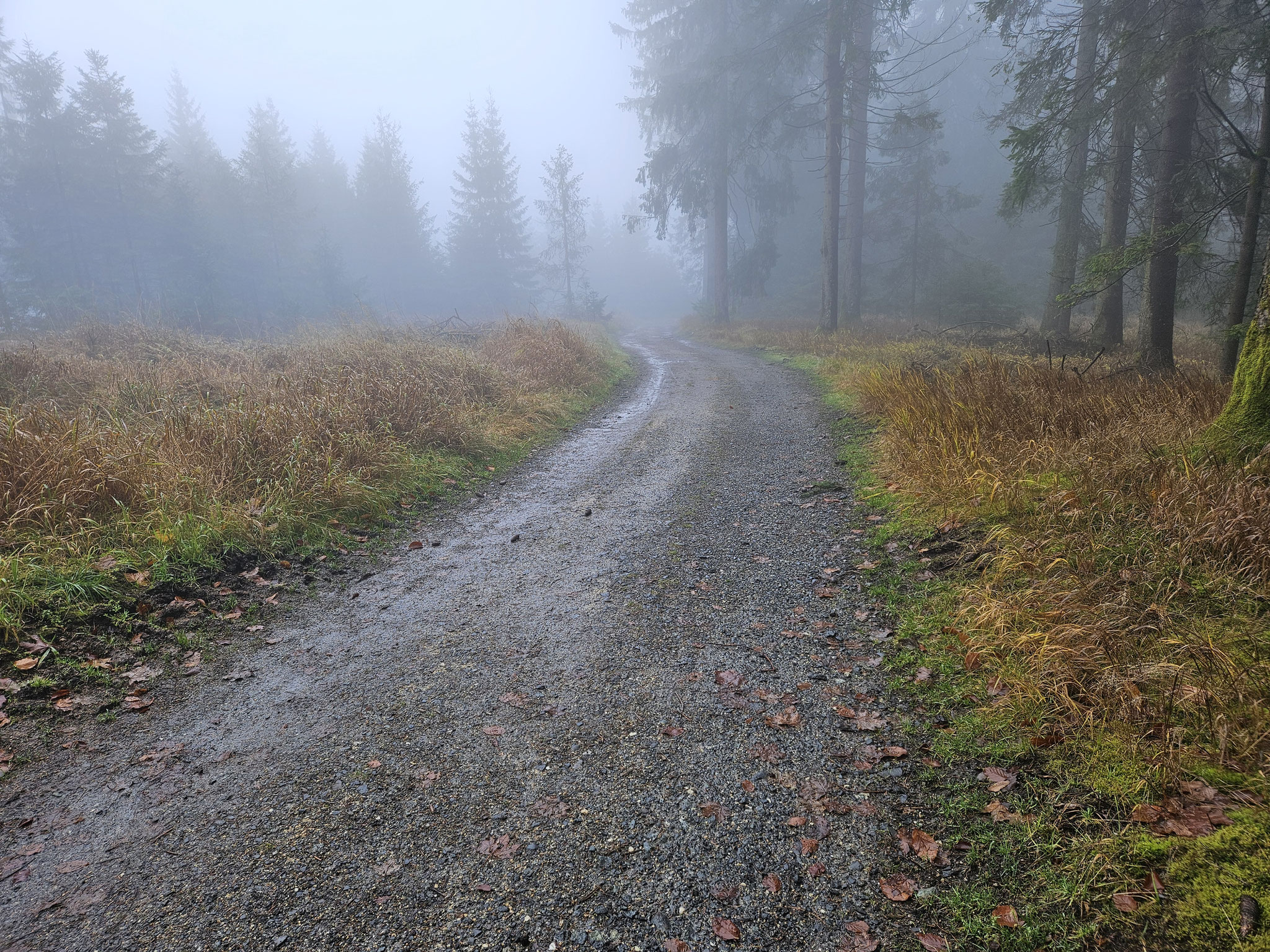 Plattenweg.