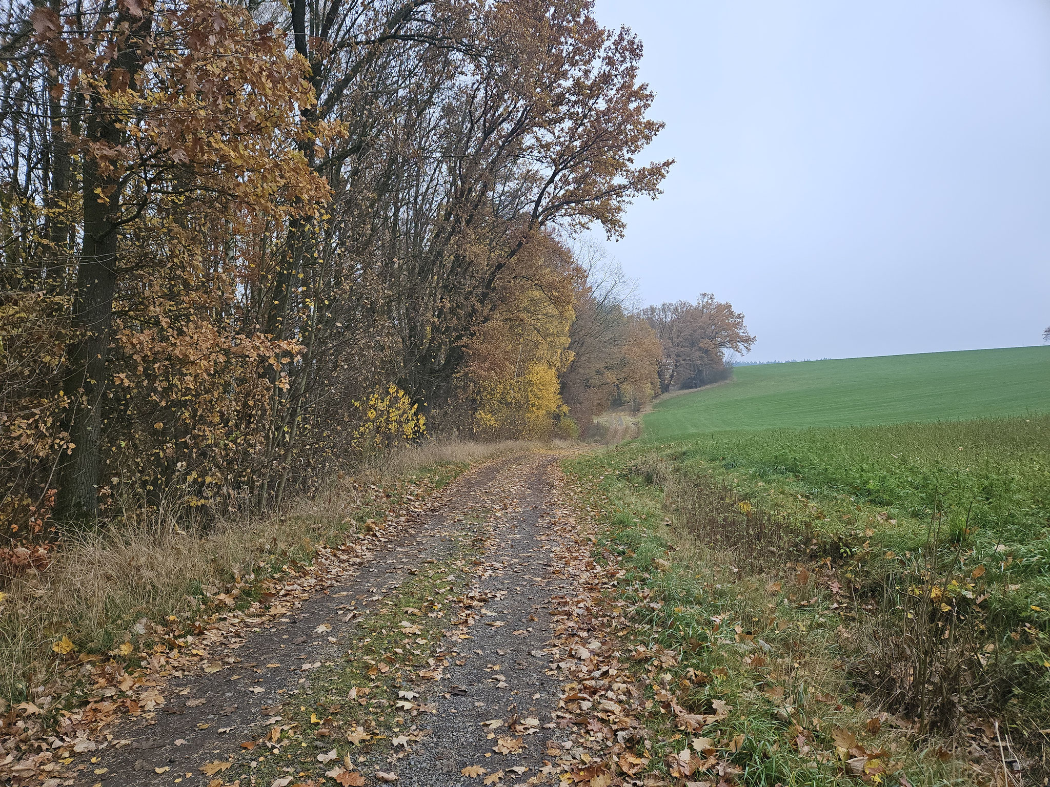 Im Tal der Wondreb.