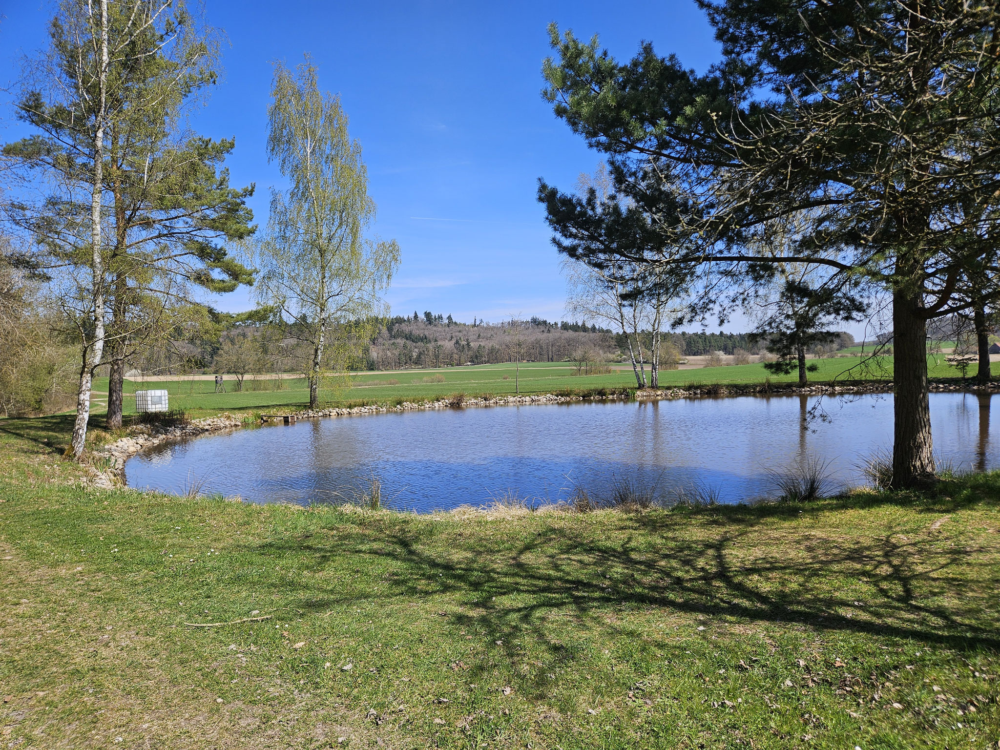 Weiher bei Oberbreitenau.