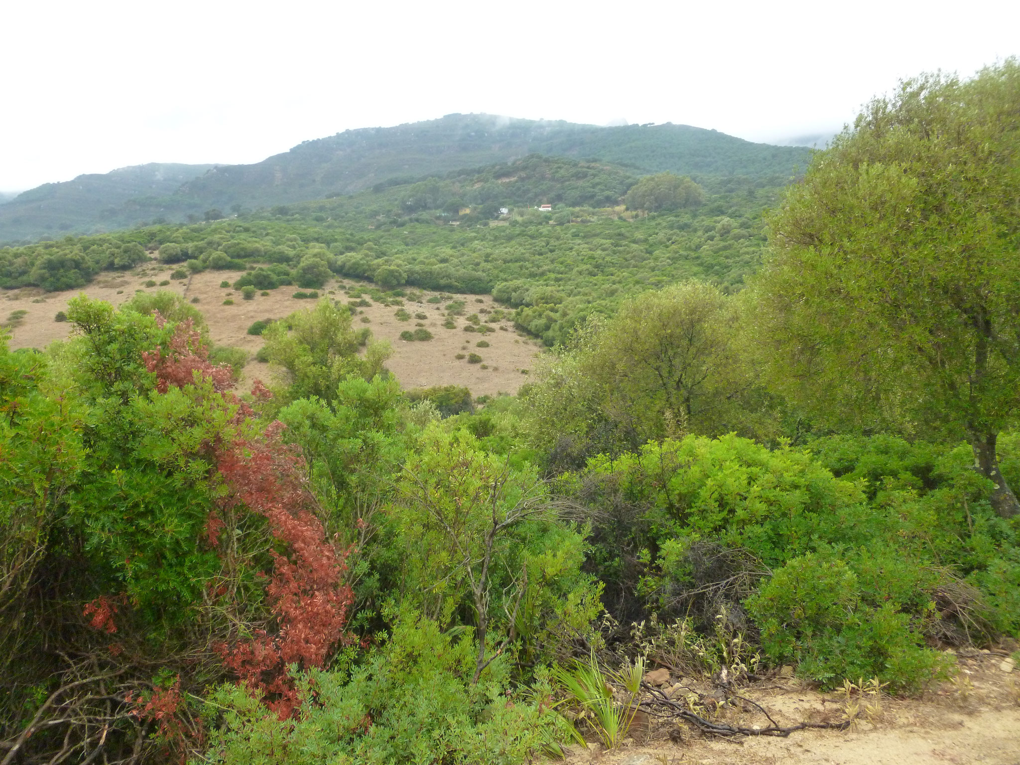 Sierra de Enmedio von Norden.