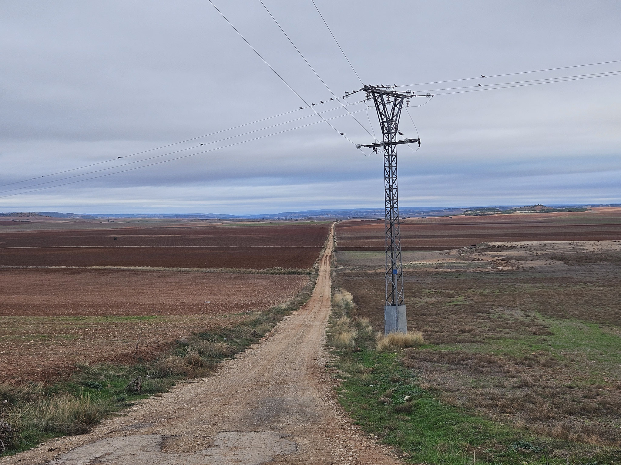 Torrubia del Castillo, Felder bei El Ranal.