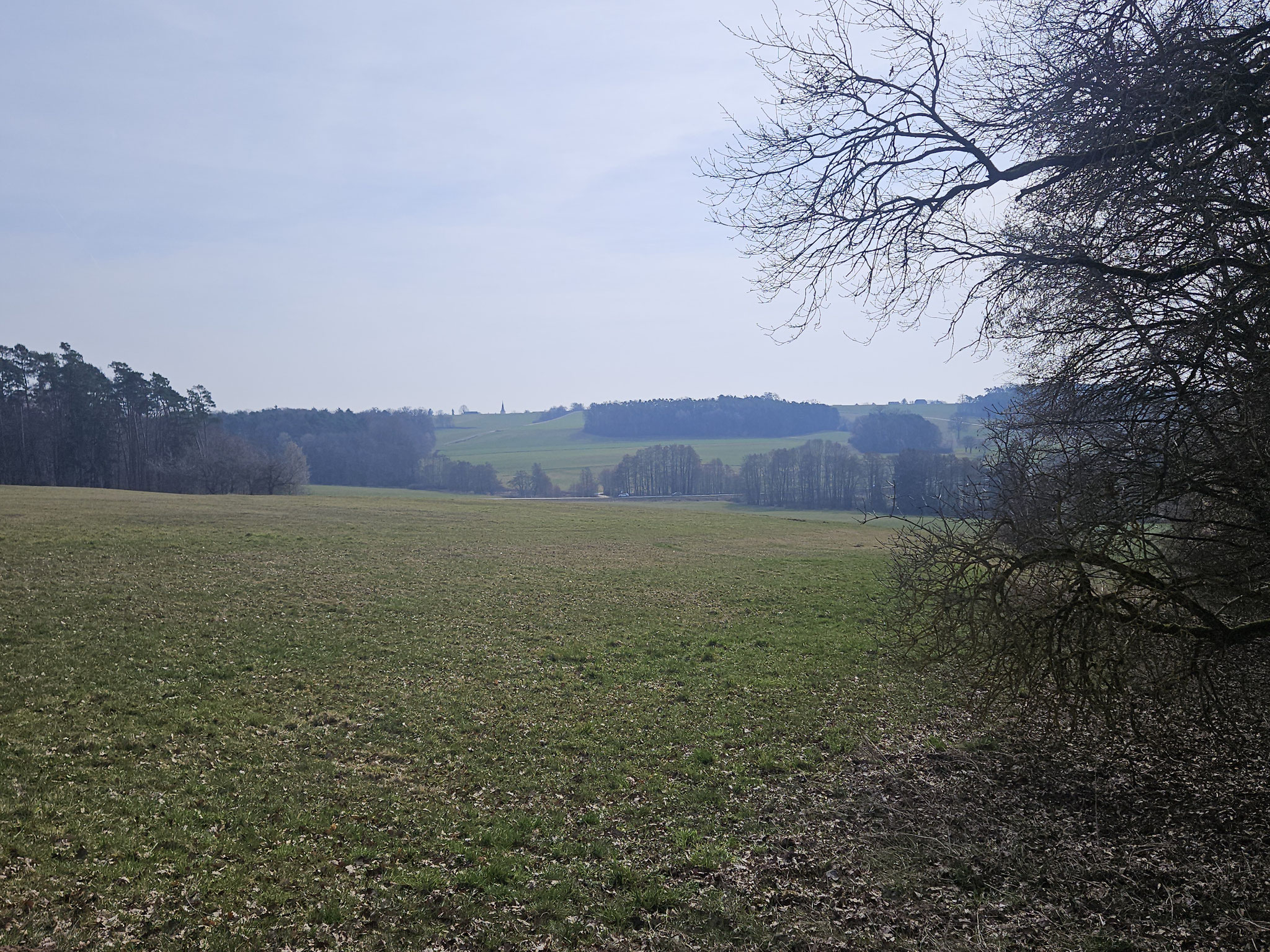 Blick vom Eichberg gegen Gräfensteinberg (Kirchturm).