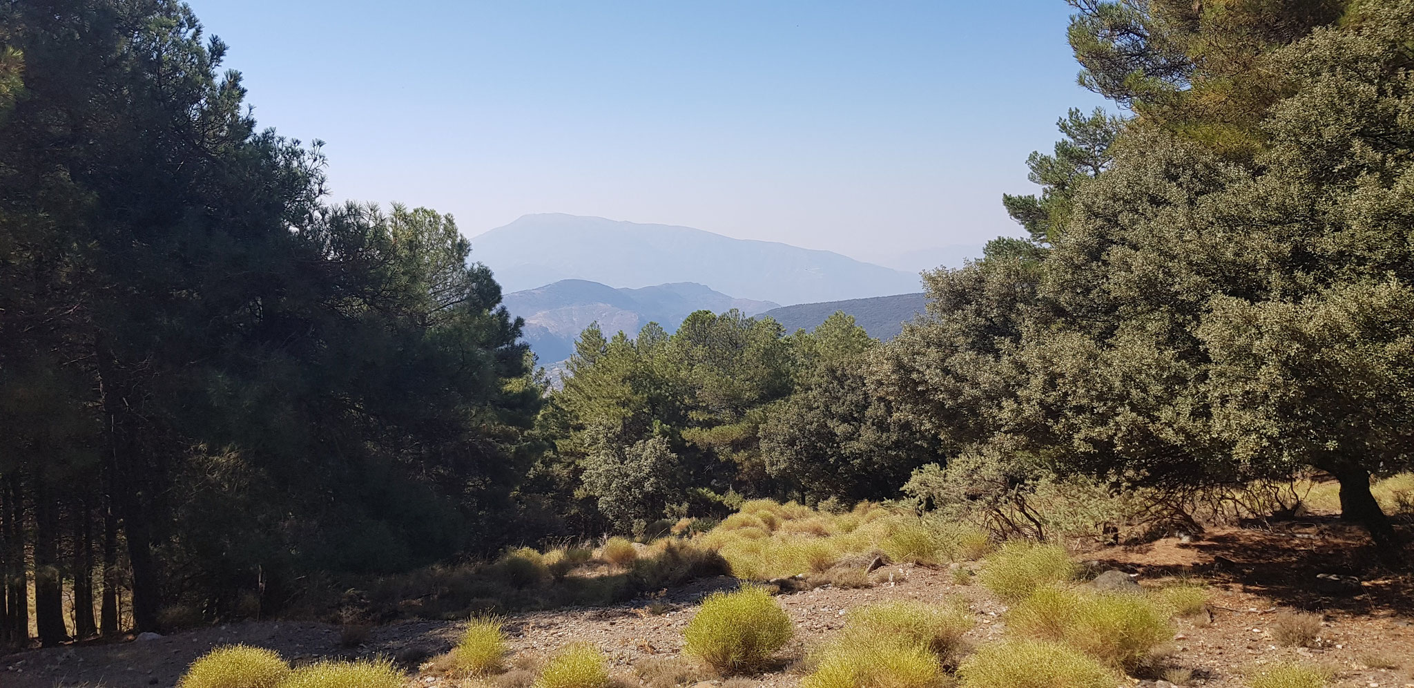 Blick nach Süden, Sierra de Lújar.