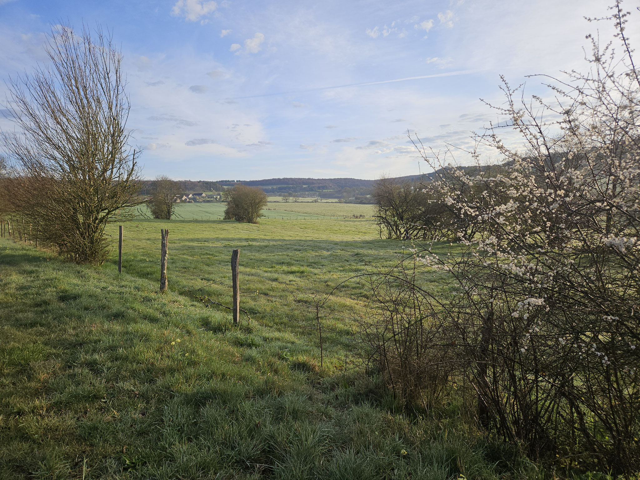 Bei Mouilleron.