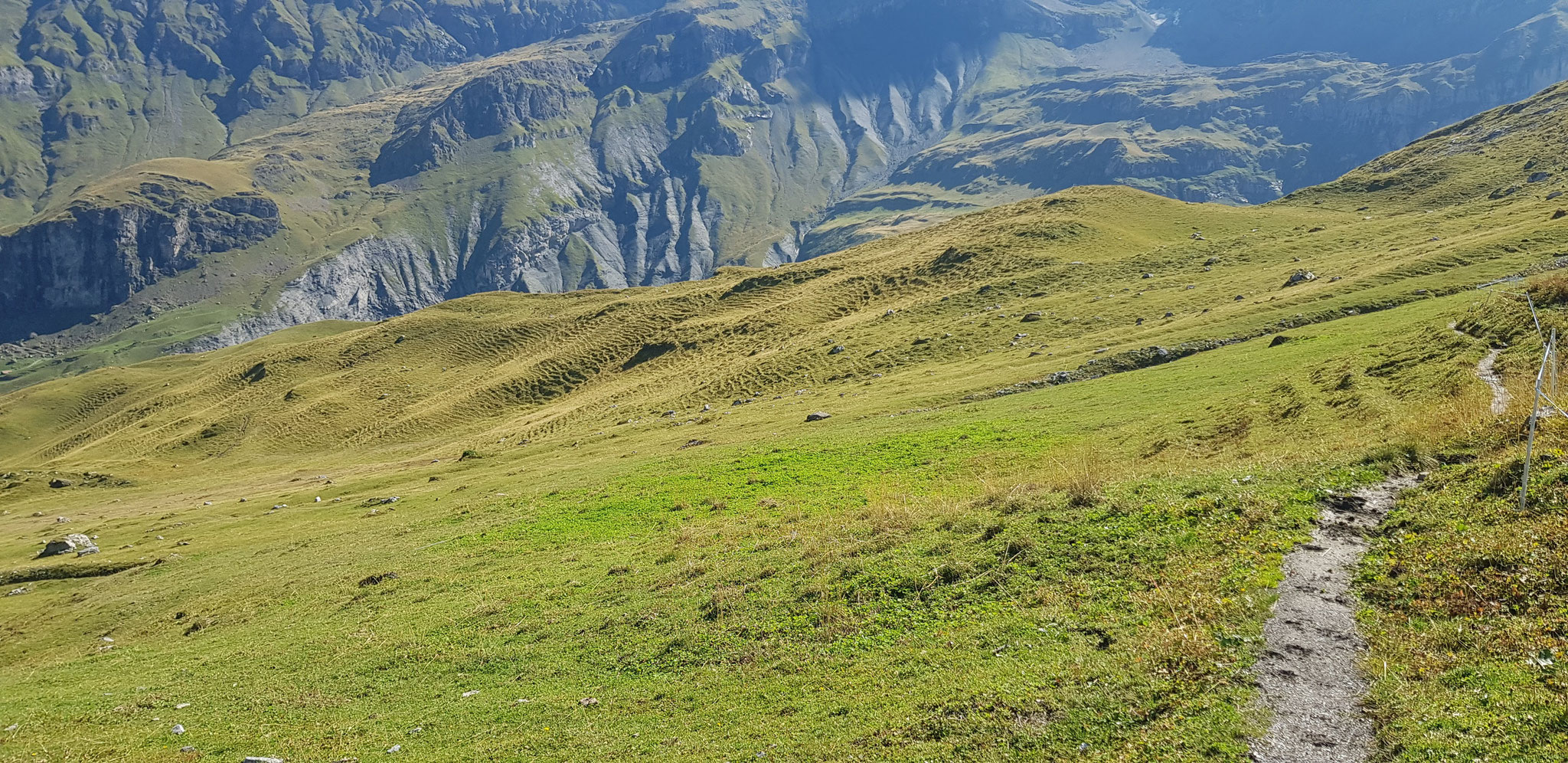 Naturterrassen.