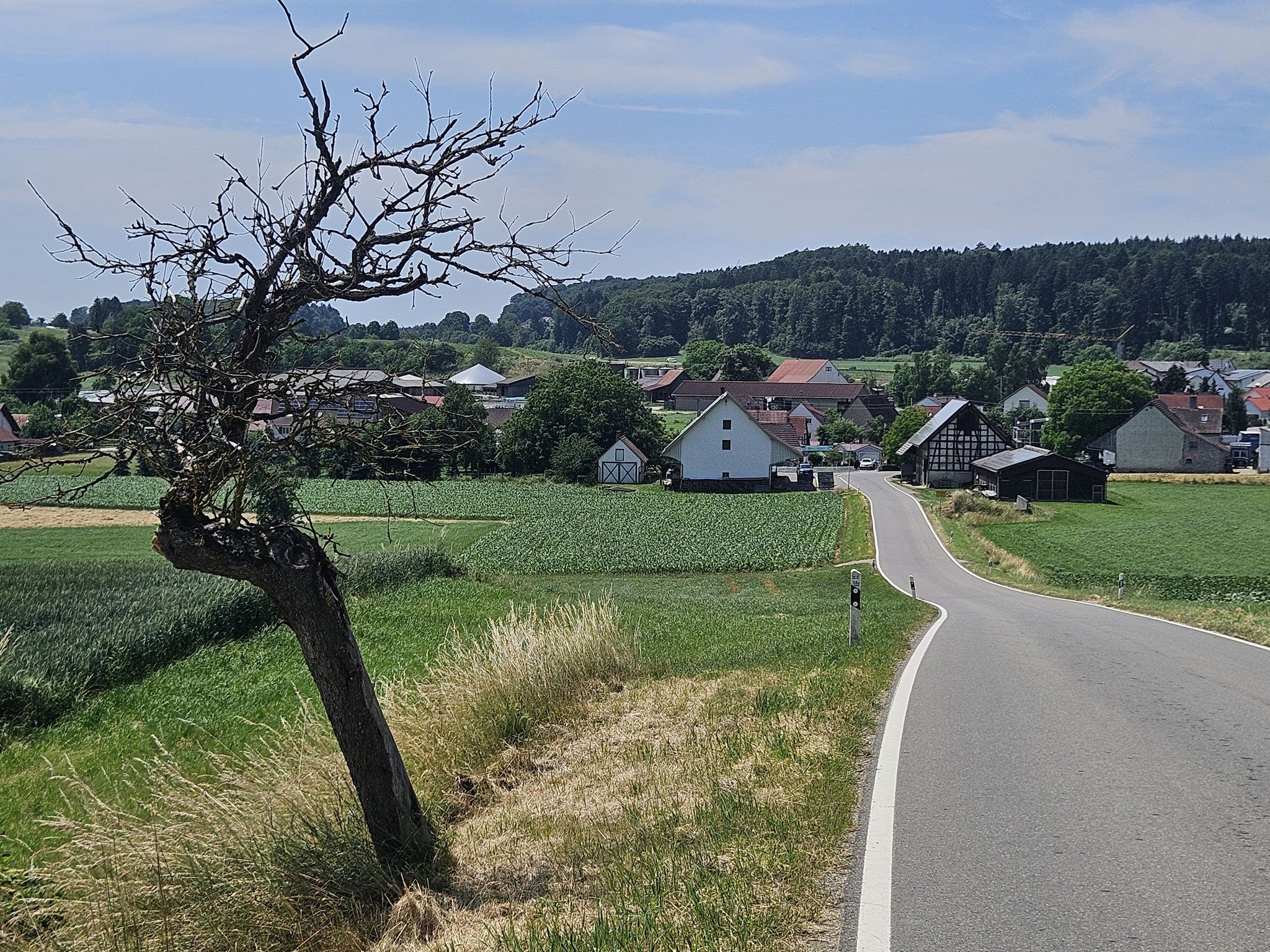 Schwarzenbach entgegen.