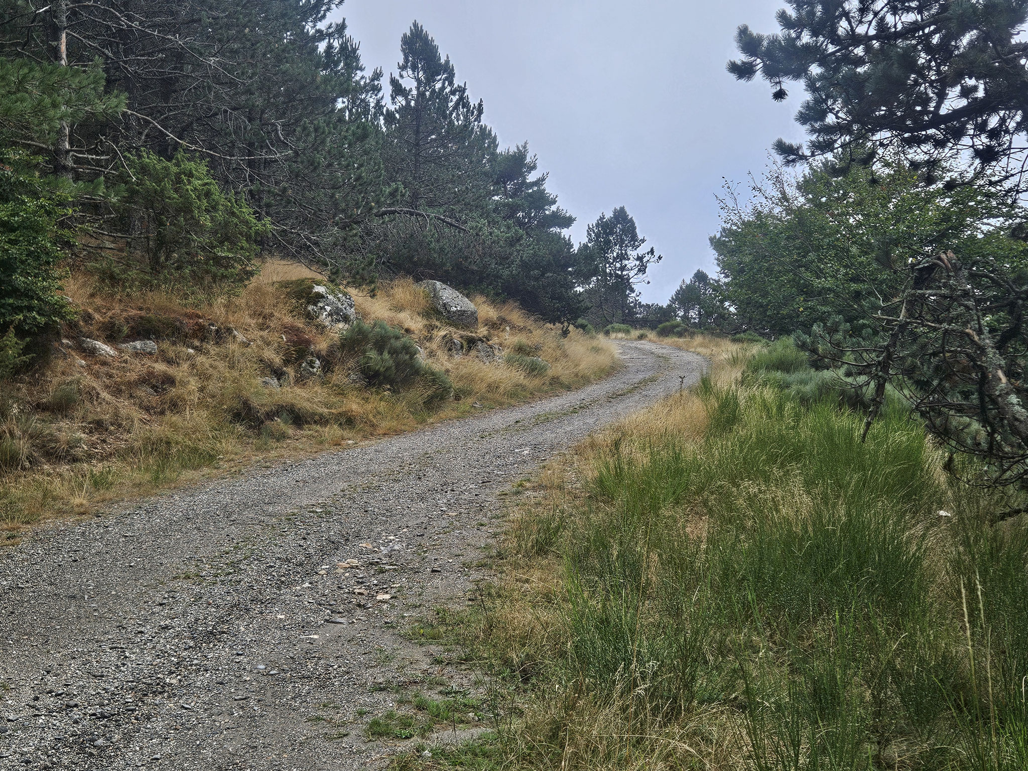Bei Col de l'Homme Mort.