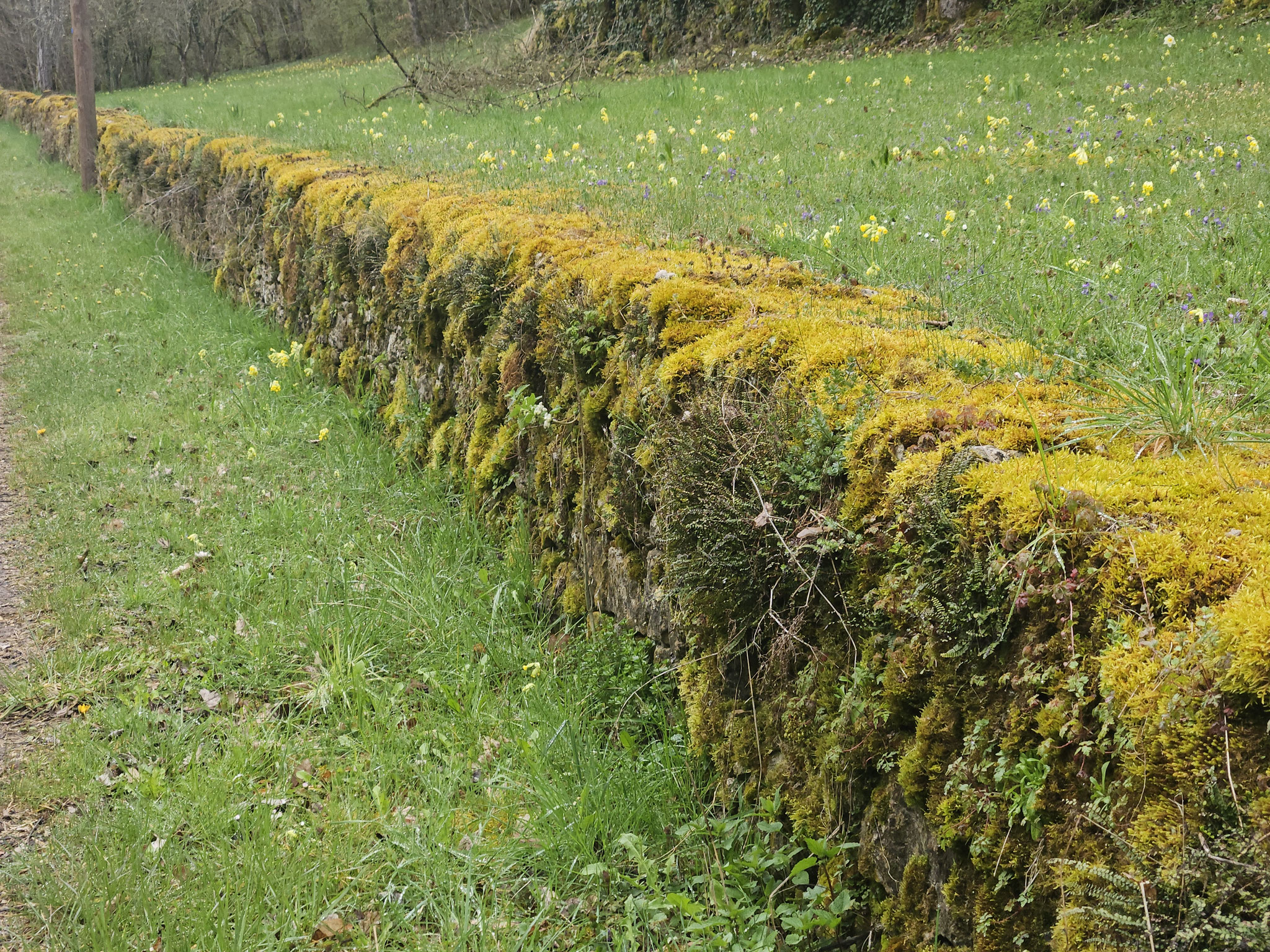 Busserotte, Aufstieg Richtung Montenaille.