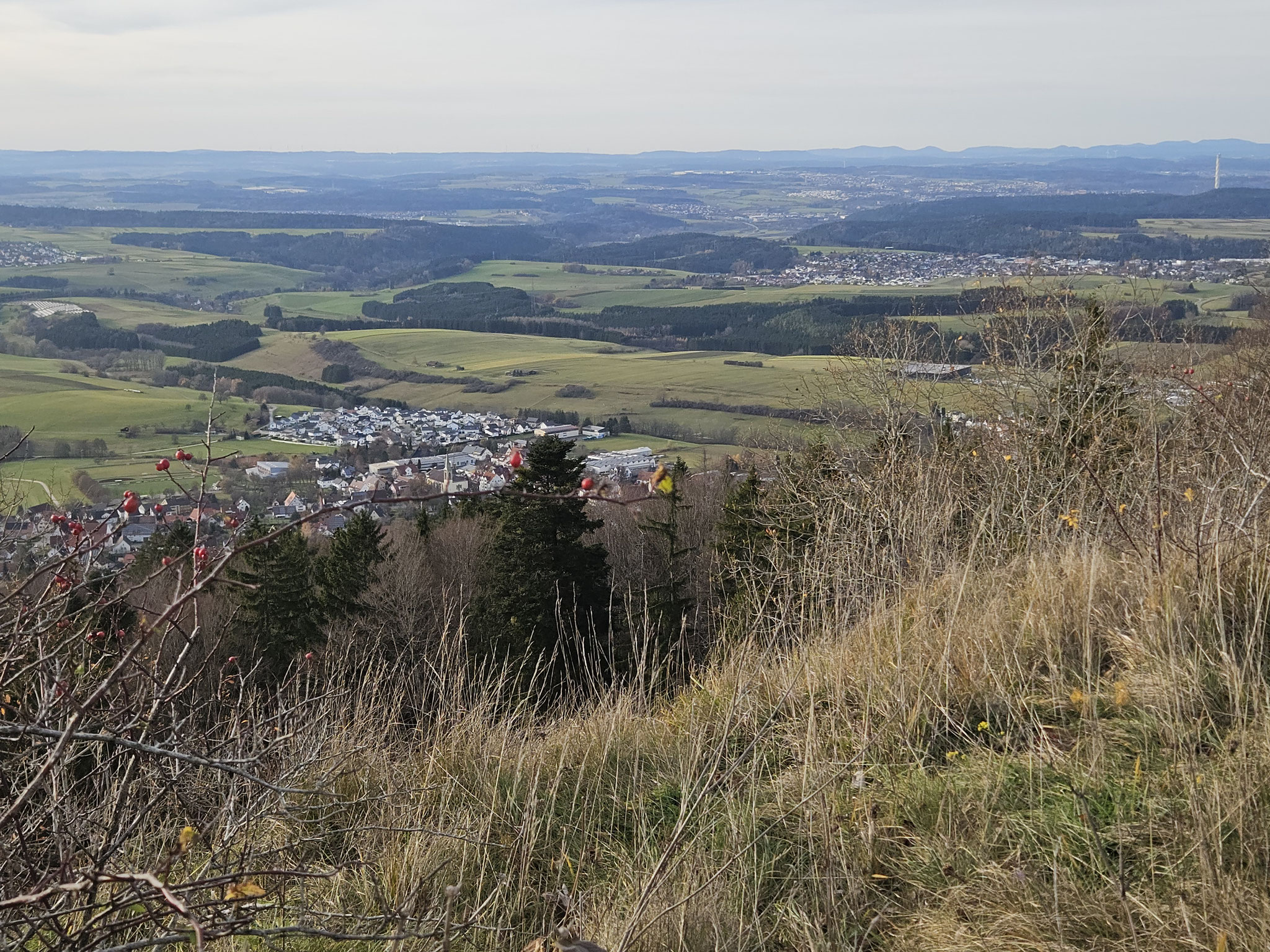 Klippeneck, Albvorland-Blick.