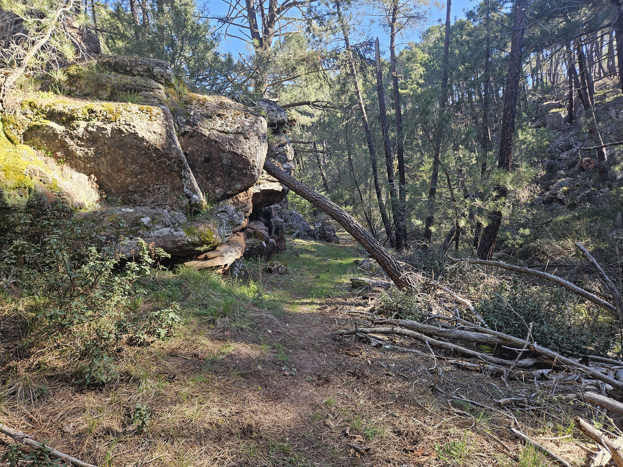 Barranco del Toro.