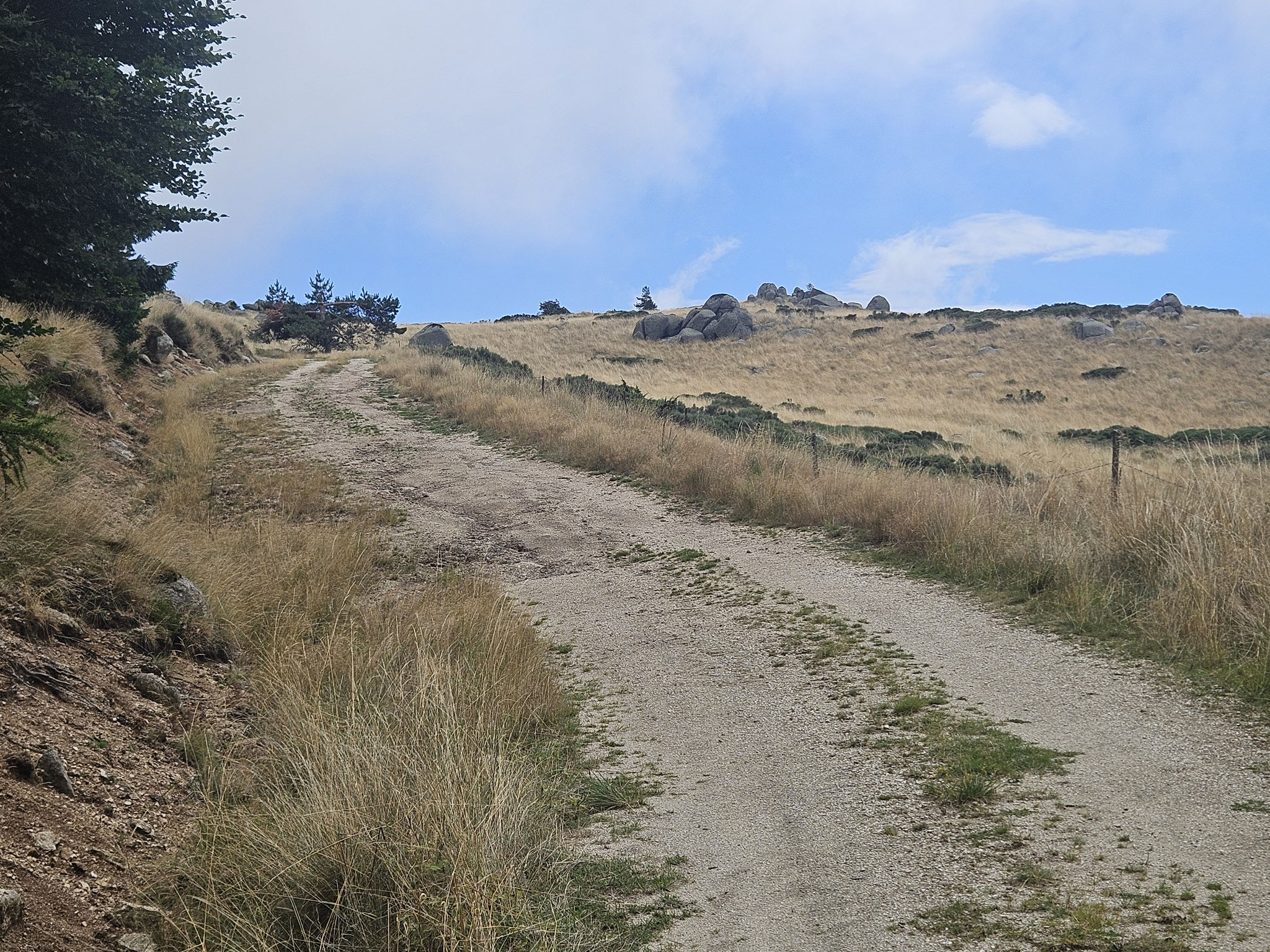 Bei Col de l'Homme Mort.