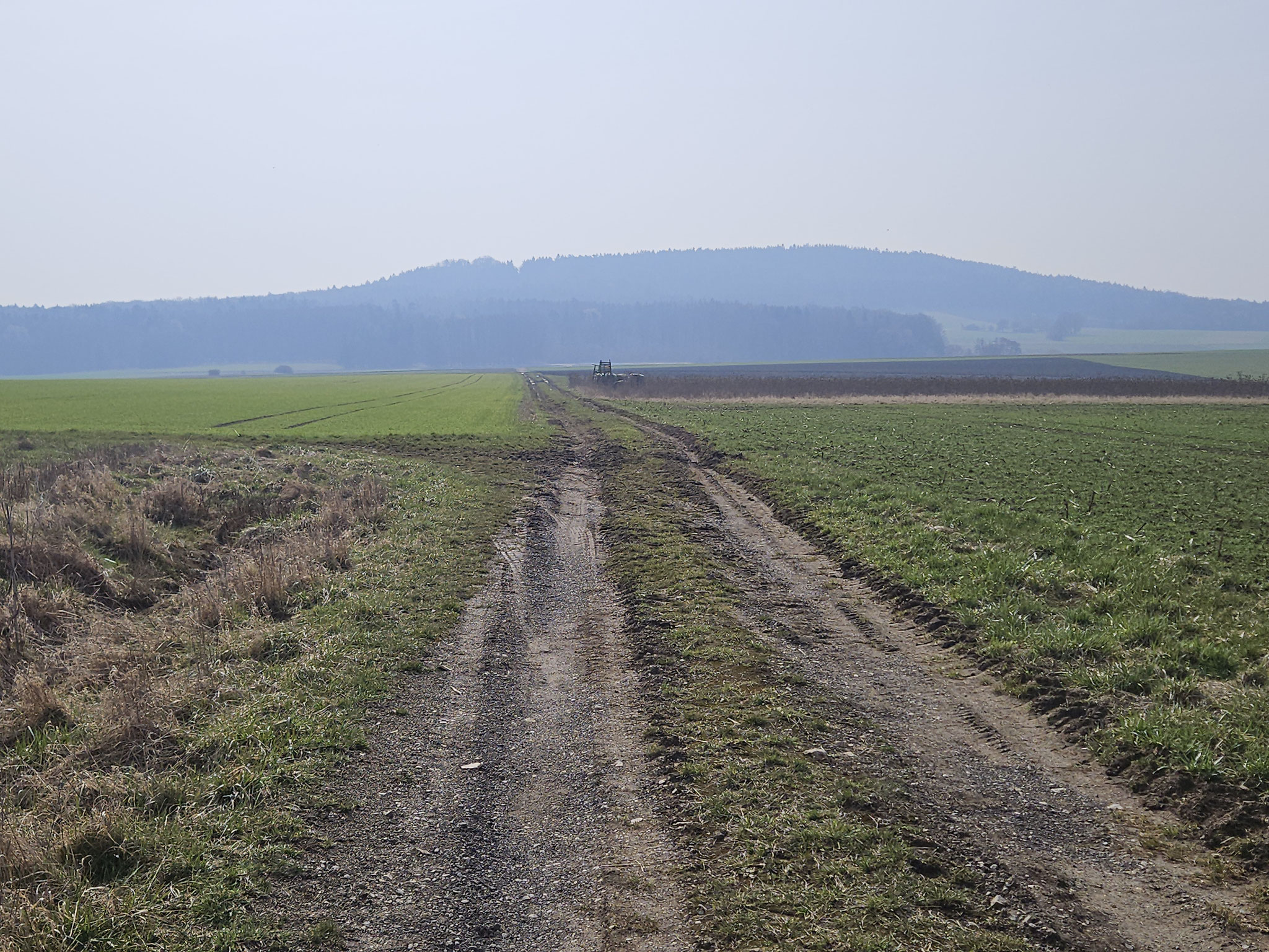 Dem Flüglinger Berg entgegen.