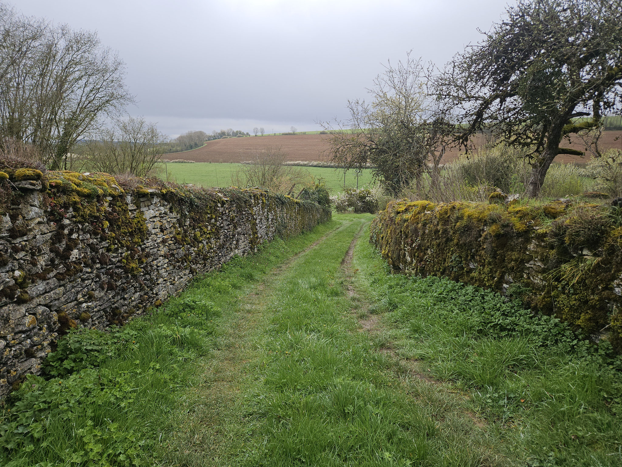 Neuvelle-lès-Grancey.