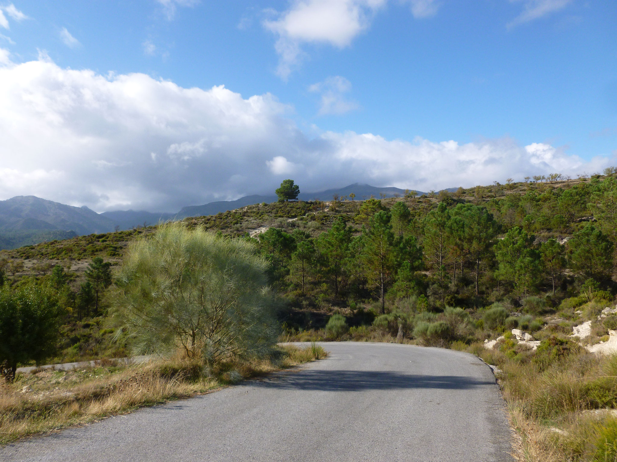 Bei Arenas del Rey, Sierra de Almijara.