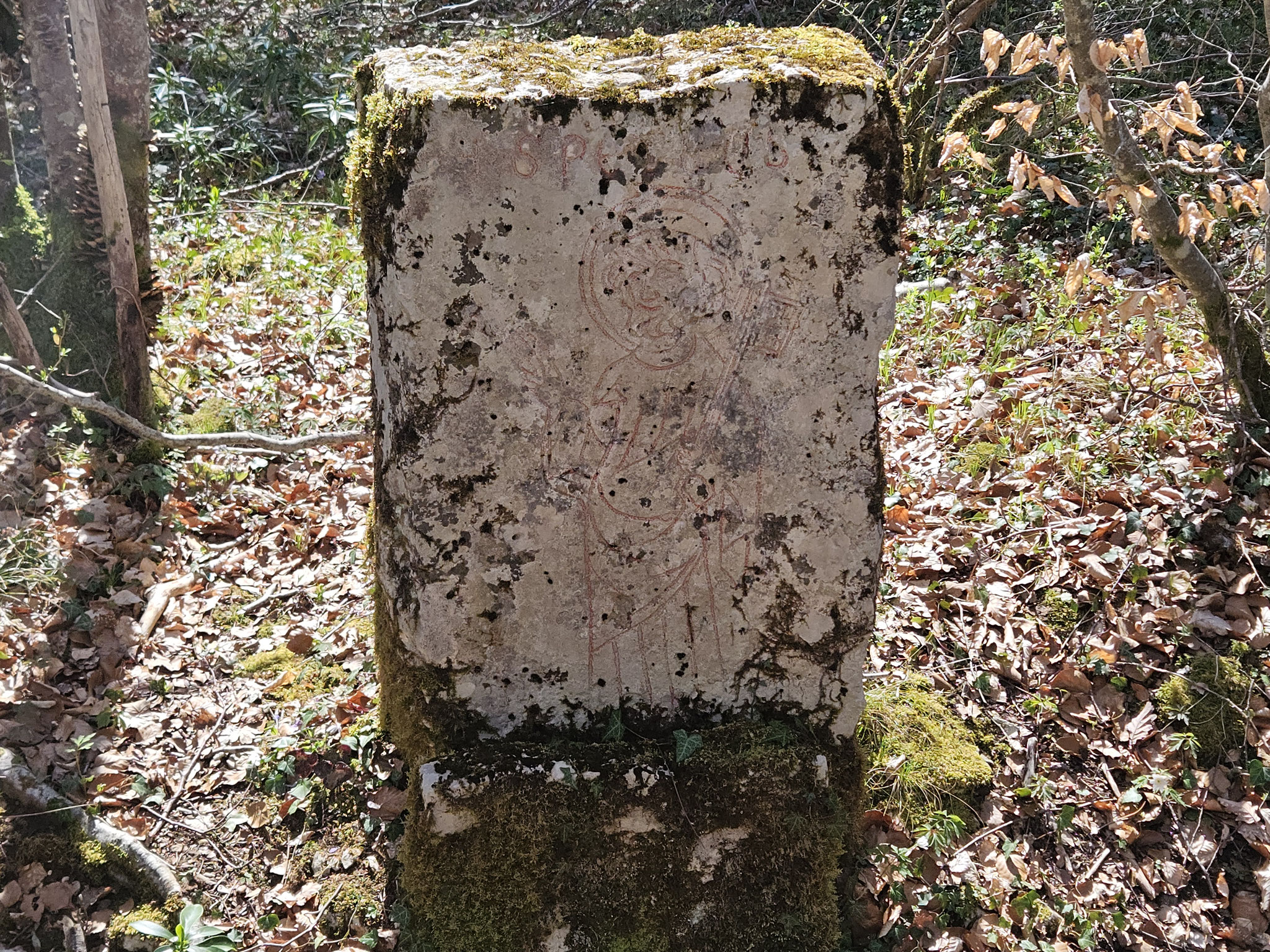 Wald von Poncey, historischer Grenzstein.