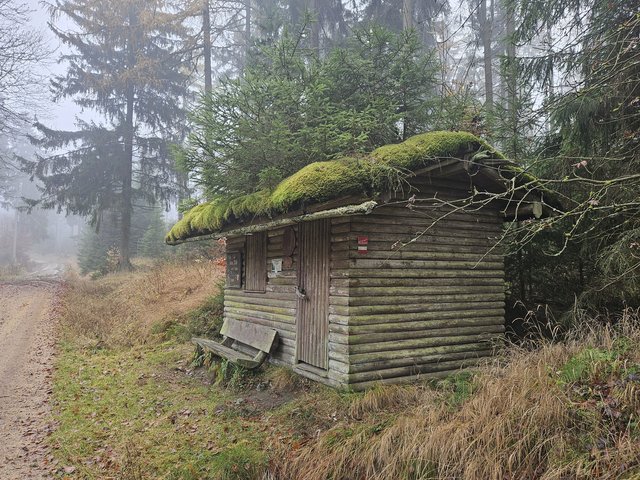 Schutzhütte am Aufstieg zur Steinwald Platte.