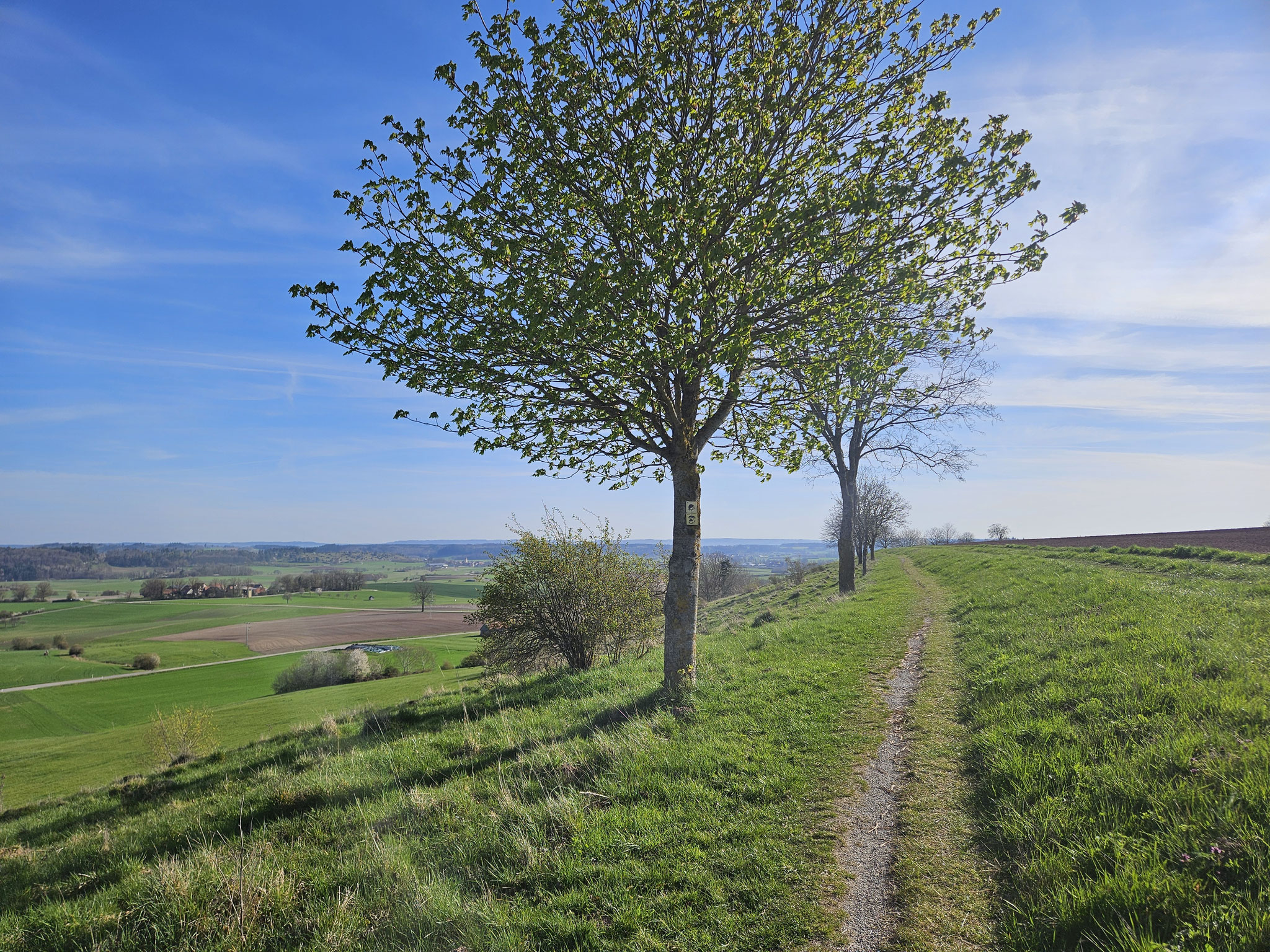 Schillingsfürst, Wasserscheideweg.