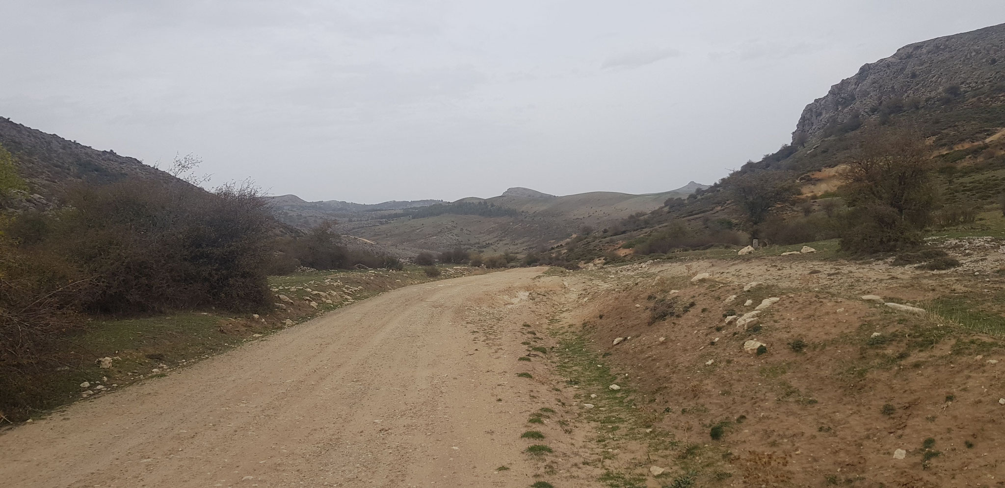 Campos de Hernán Pelea. Cañada de la Cruz, nordwärts.