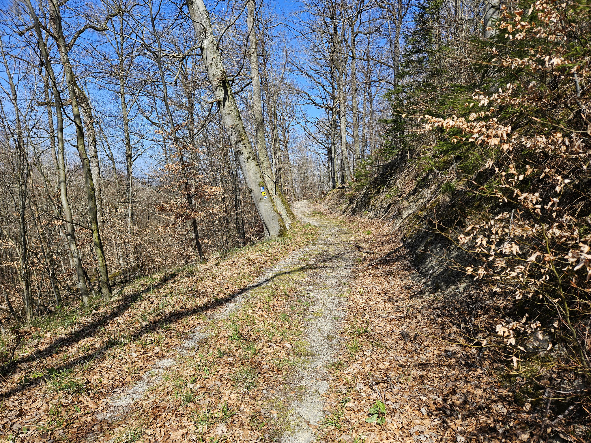 Am Gailnauer Ranken.