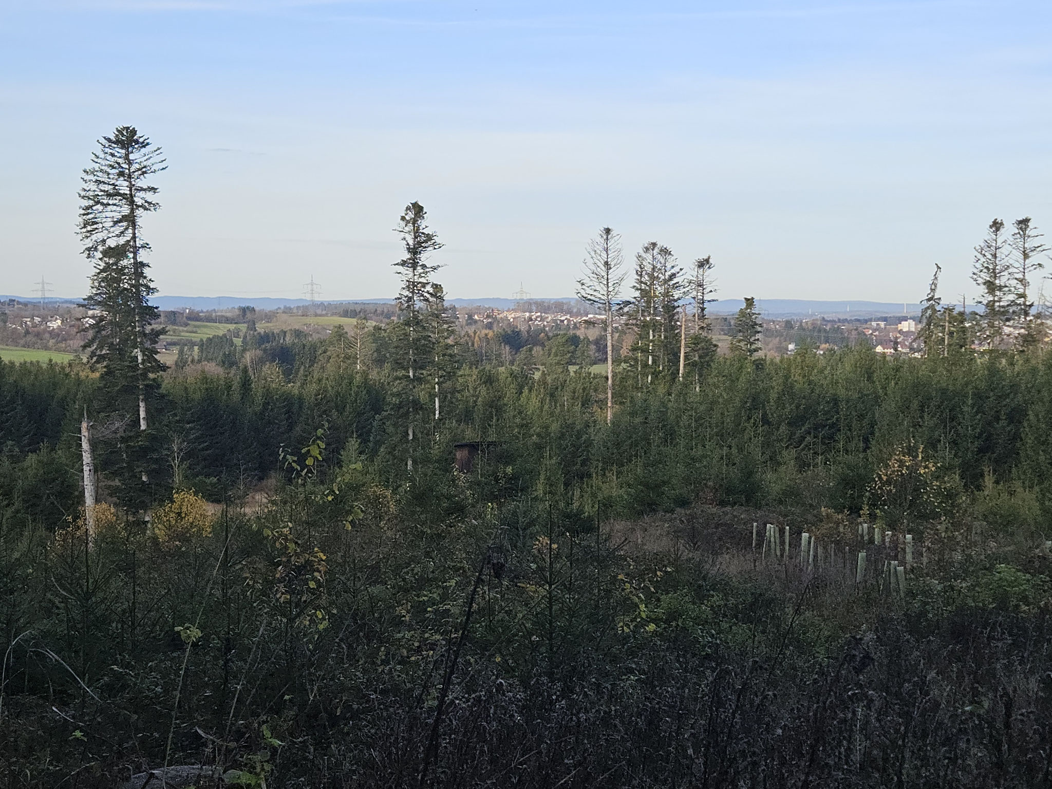 Am Nordhang des Allmendbühls, Blick über Trossingen.