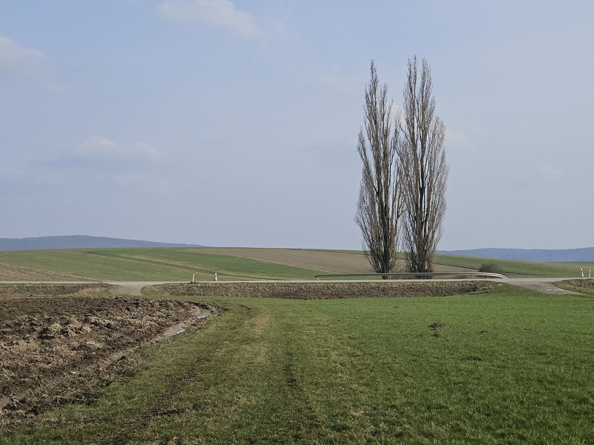Bei Kattenhochstatt.