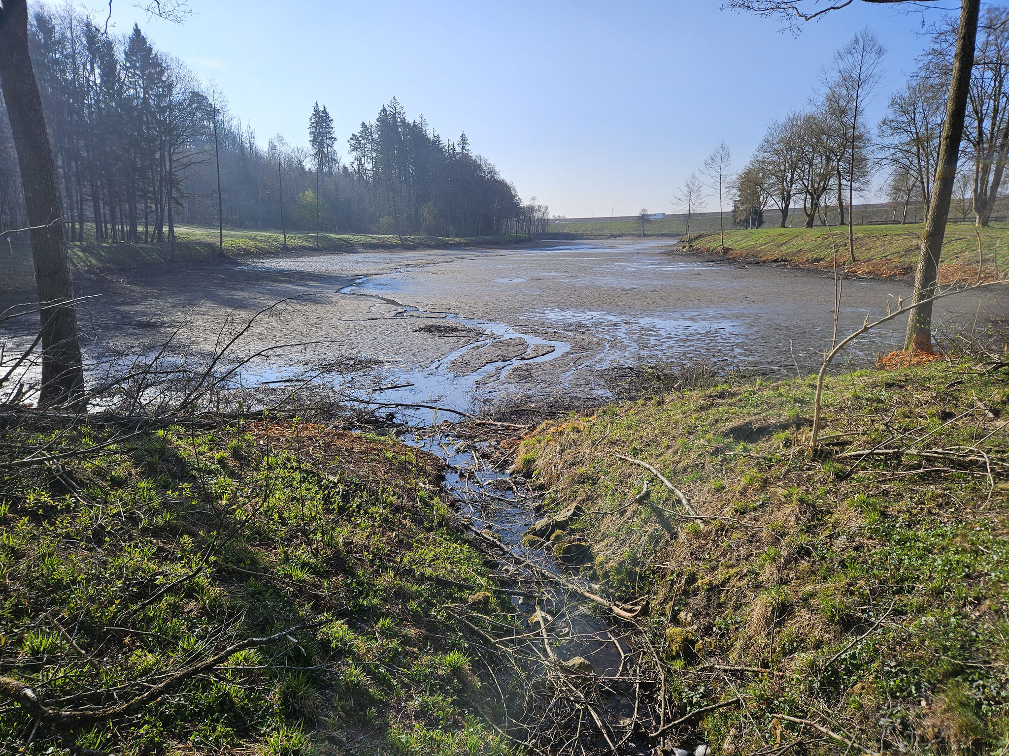 Schnelldorf, Erlensee.
