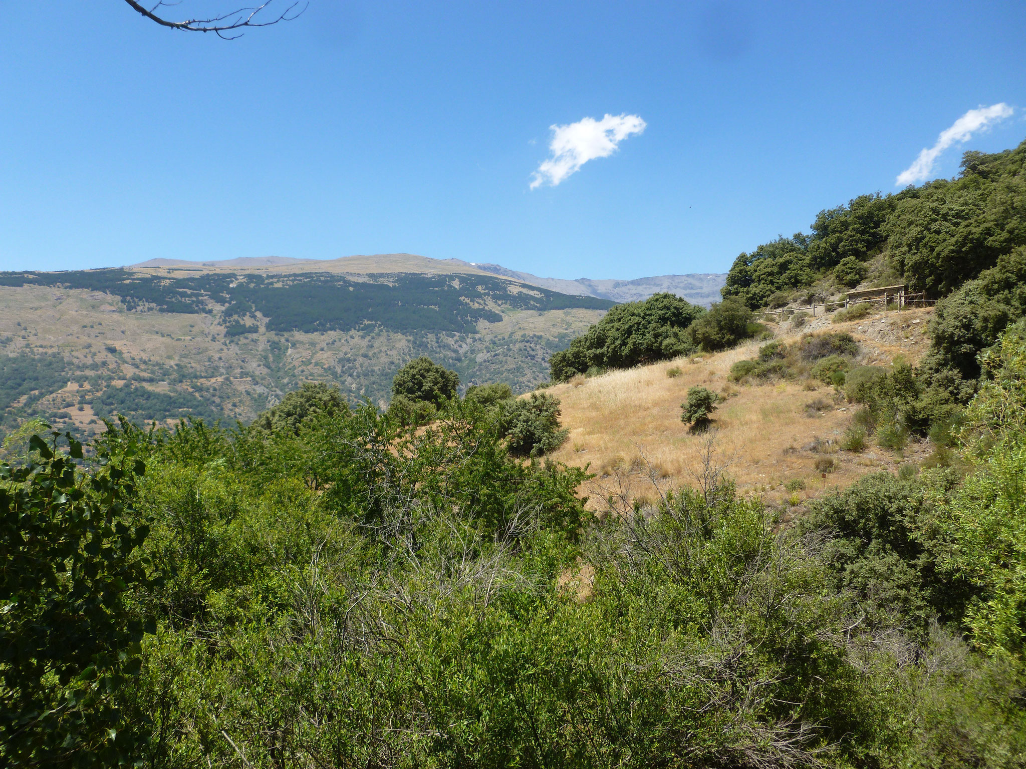 Am Hang des Loma de las Tomadas.