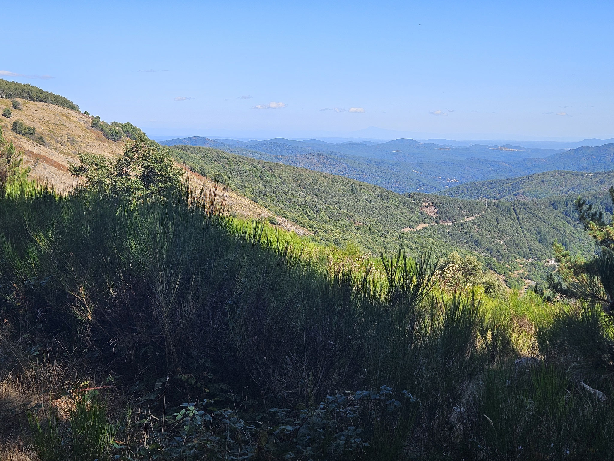 Le Cayla, Blick Richtung Osten mit Silhouette des Mont Ventoux.