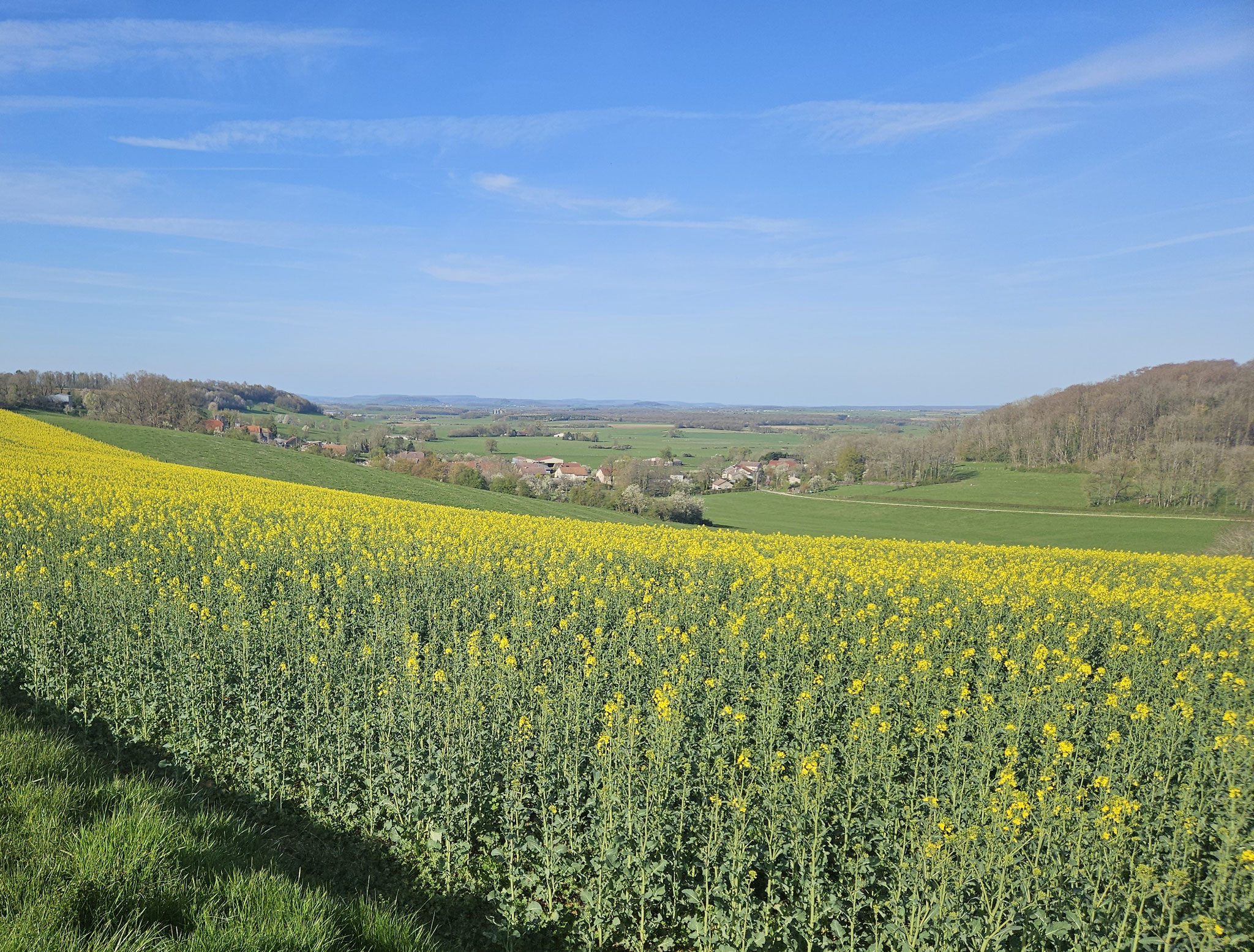 Blick auf Récourt, Val-de-Meuse.
