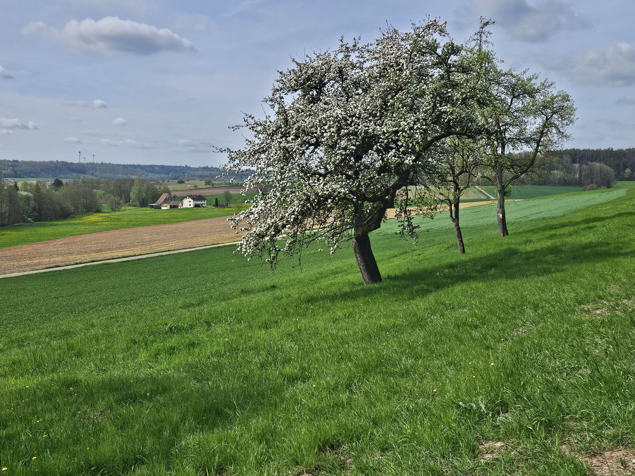 Ob  Sixenmühle.