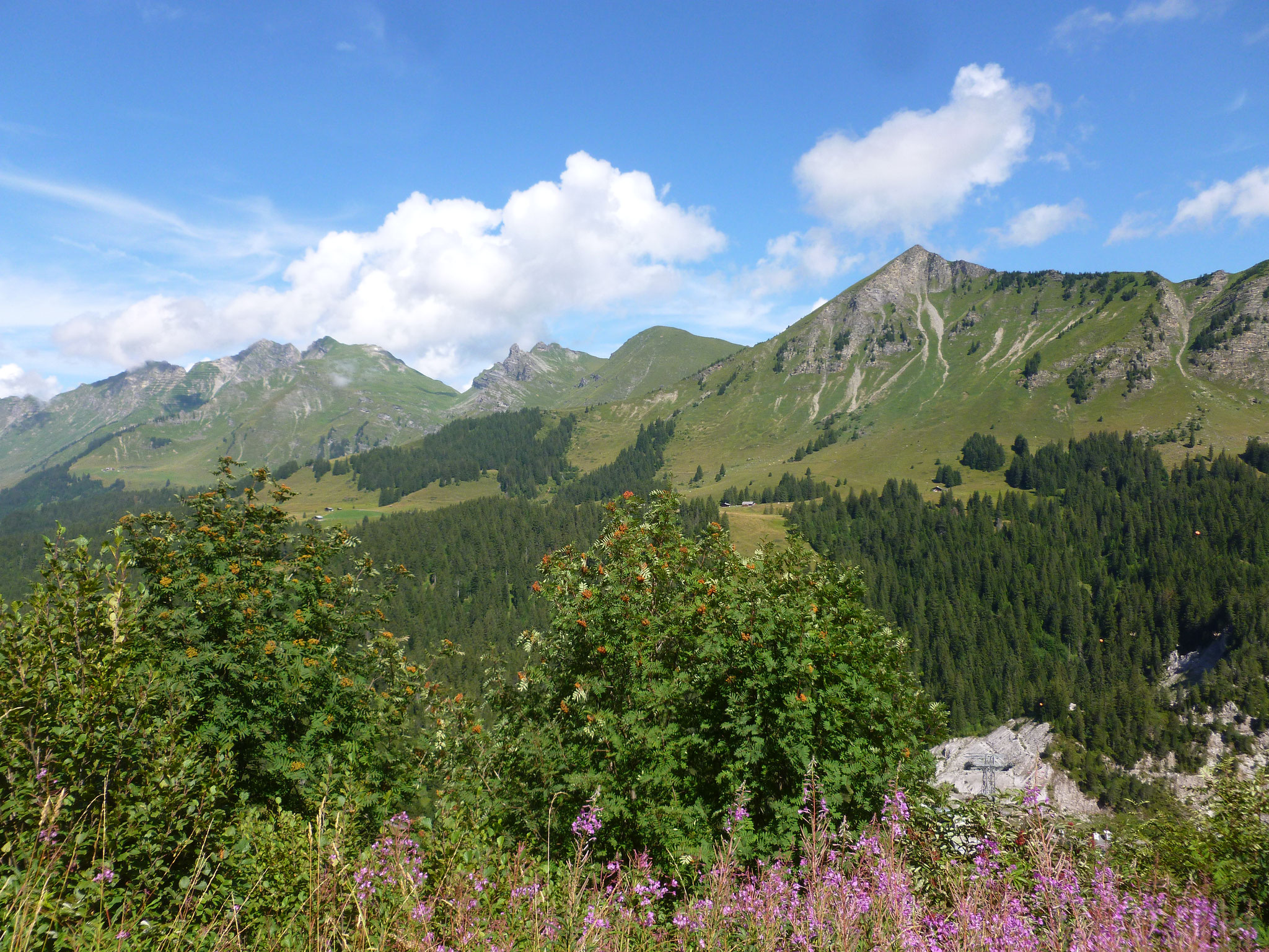 Rückblick auf EHWS-Gipfel (von rechts): Palette, La Chaux, Cape au Moine, Para...