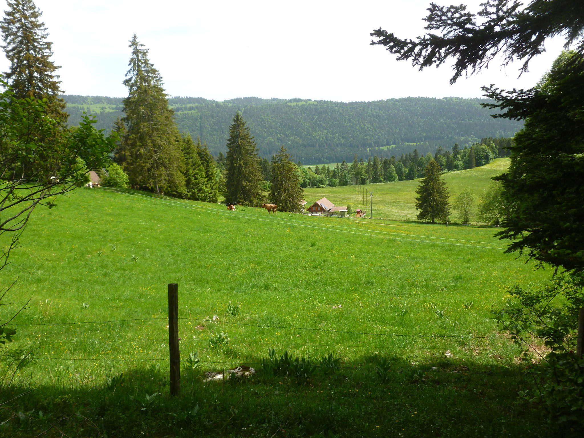 Bei Les Balkans, Blick ins Vallée des Ponts.