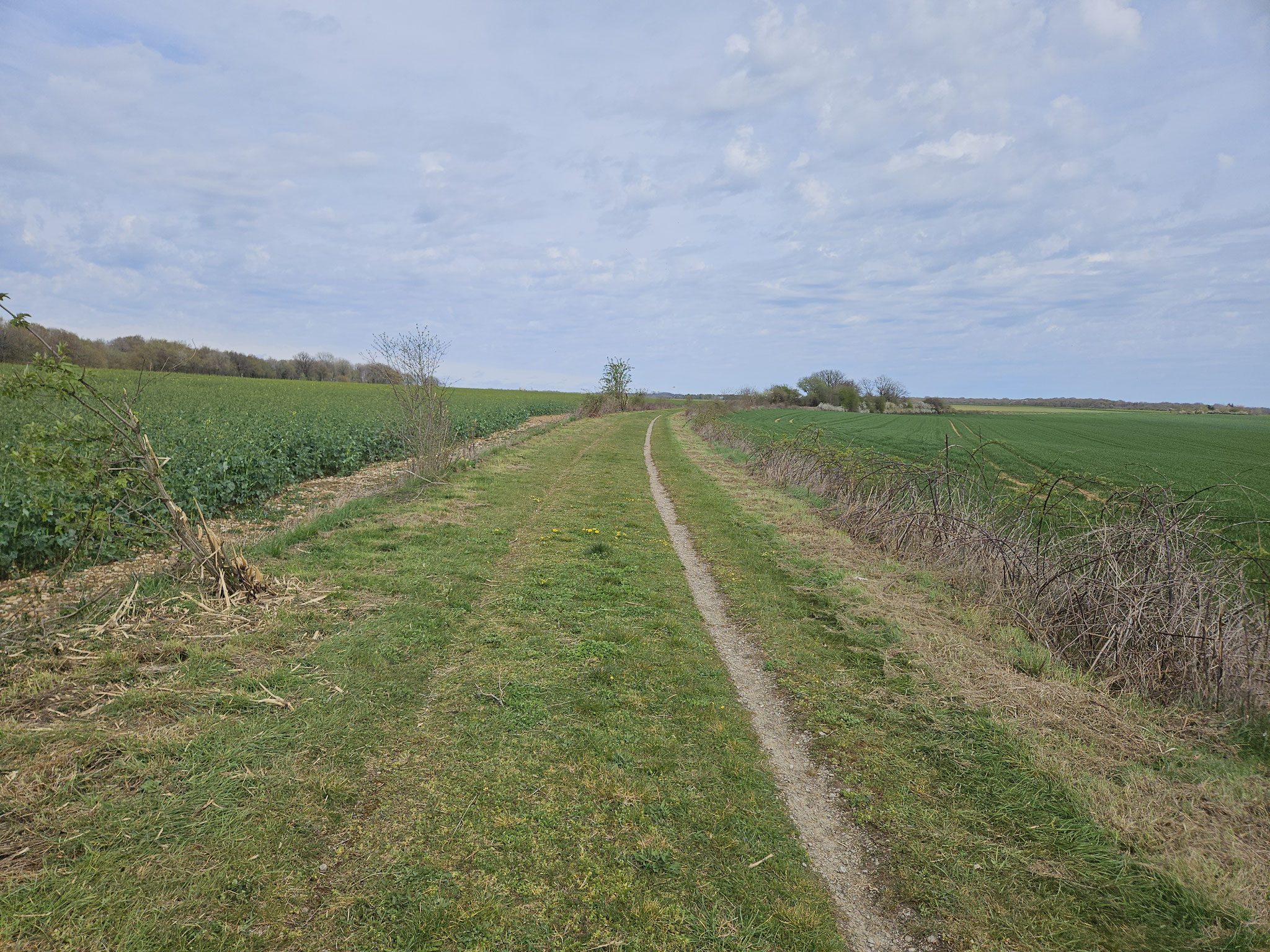 Voie Verte Richtung Langres.