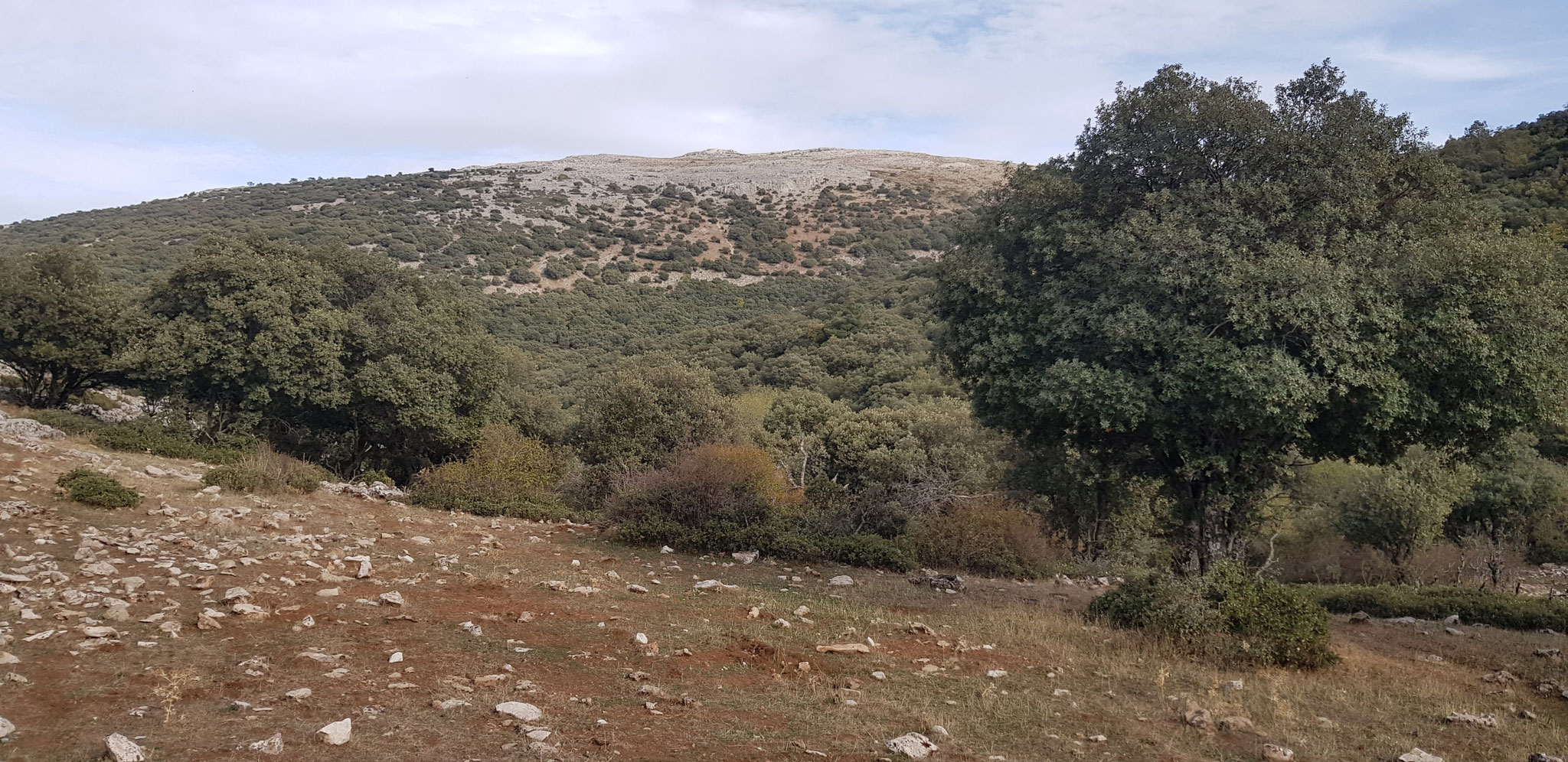 Collado de la Peña de la Buitrera.