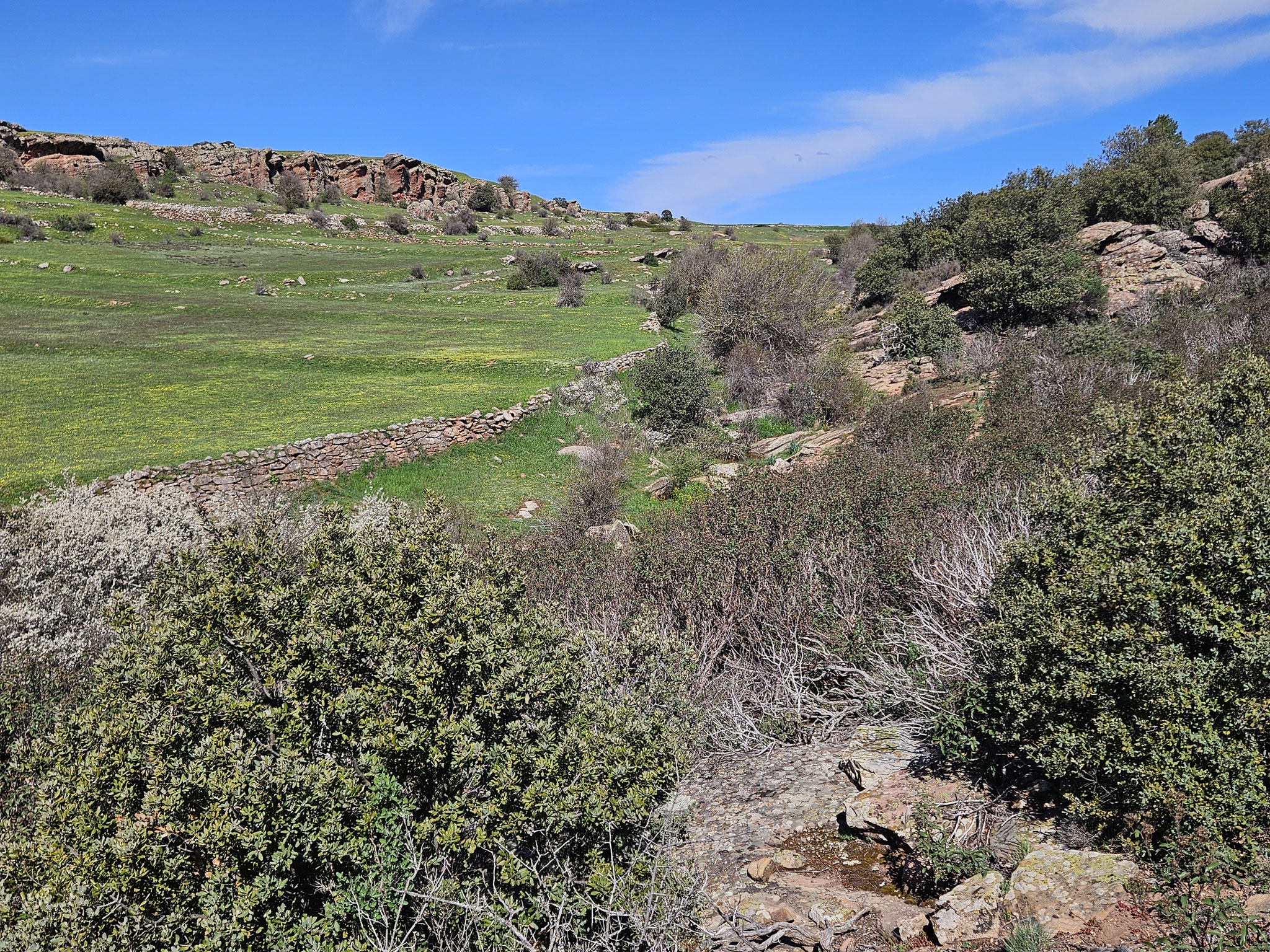 Loma de la Rolda.