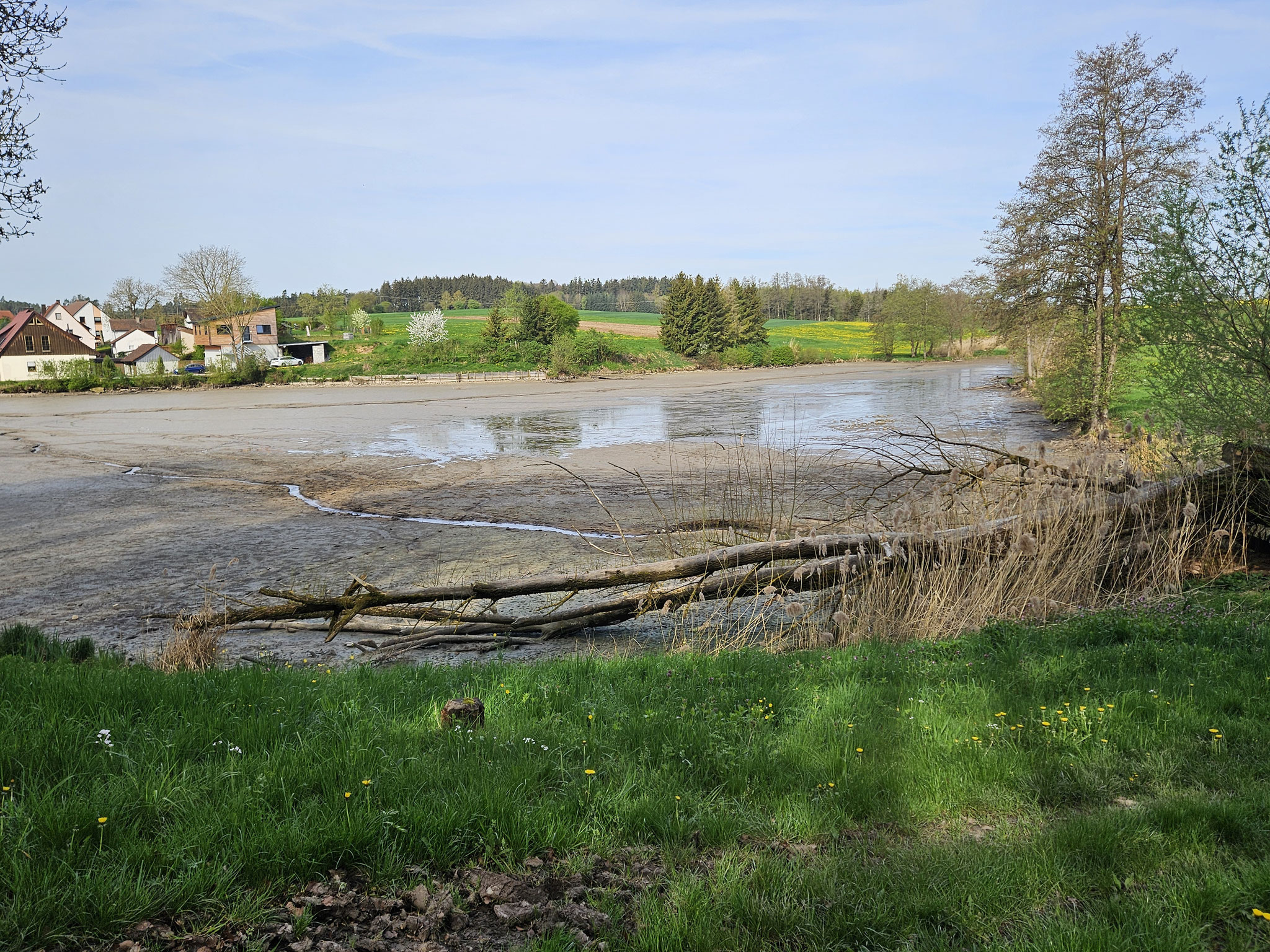 Fast verlandeter Teich bei Völkermühle.