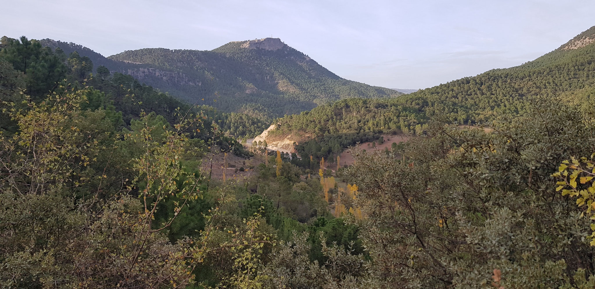 Abstieg zur Strasse CM-3204. Cerro del Padroncillo.