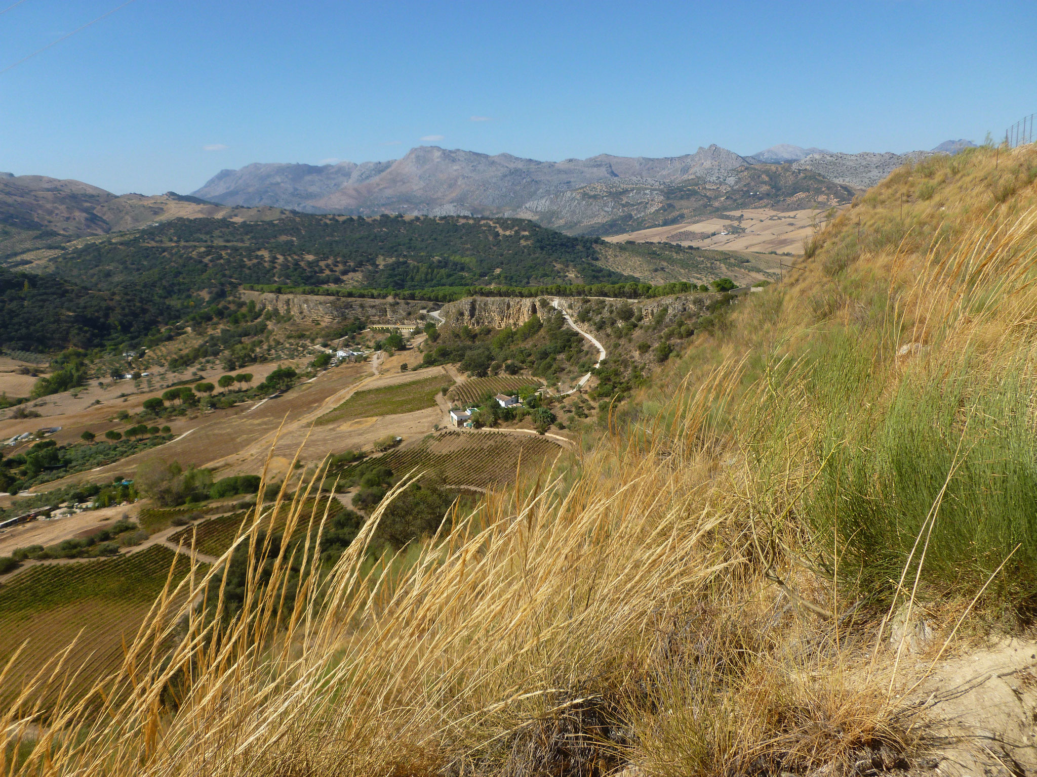 Auf der Felsrippe, Blick Richtung Sierra de Grazalema.