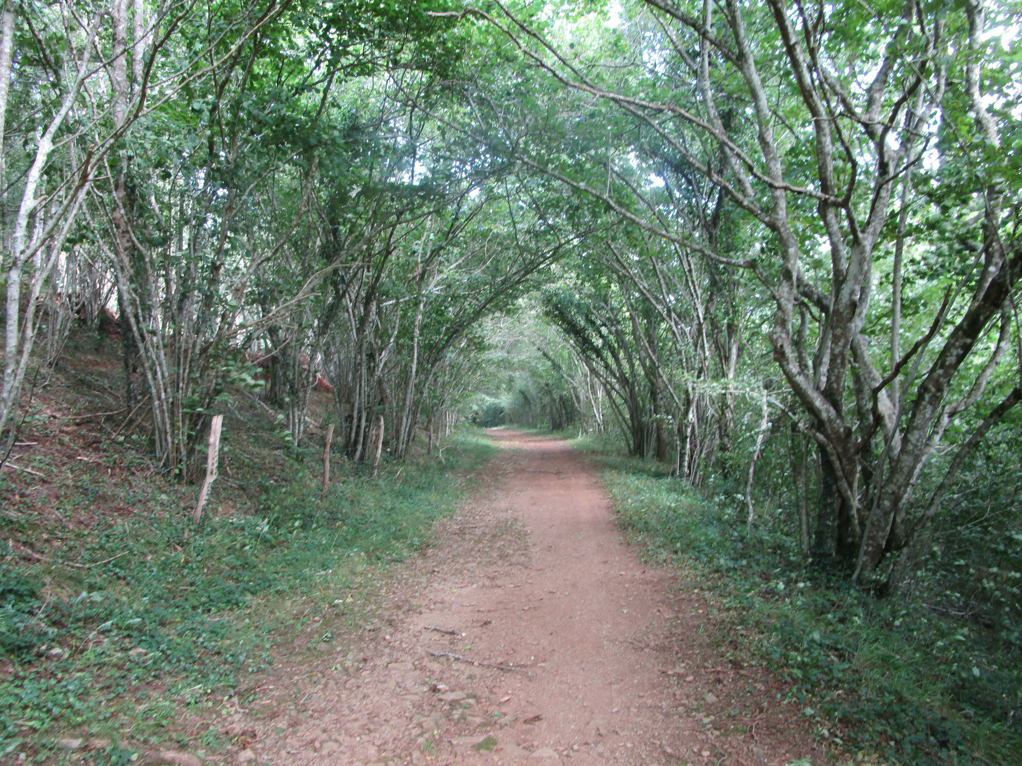 Allee bei Haut Moulin.