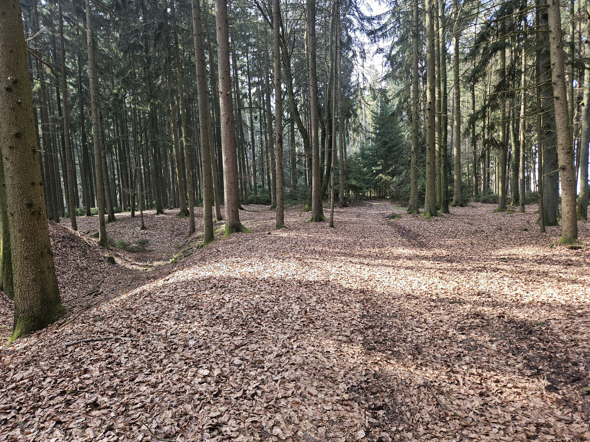 Flüglinger Berg, EHWS.