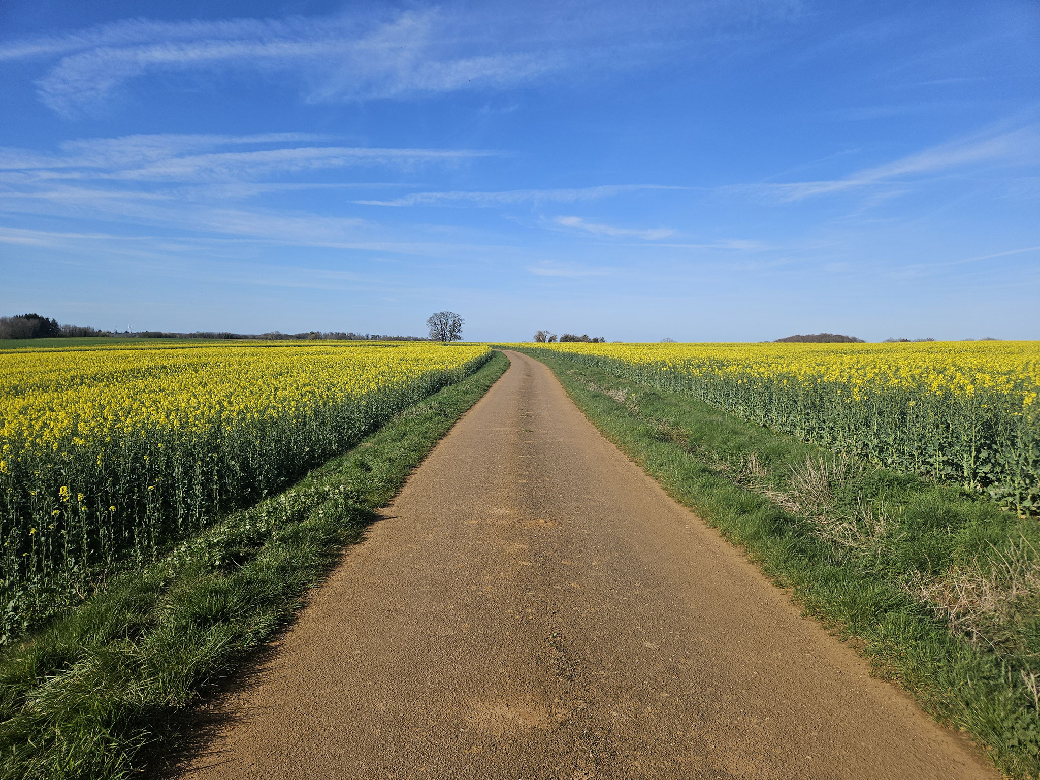 Récourt entgegen.