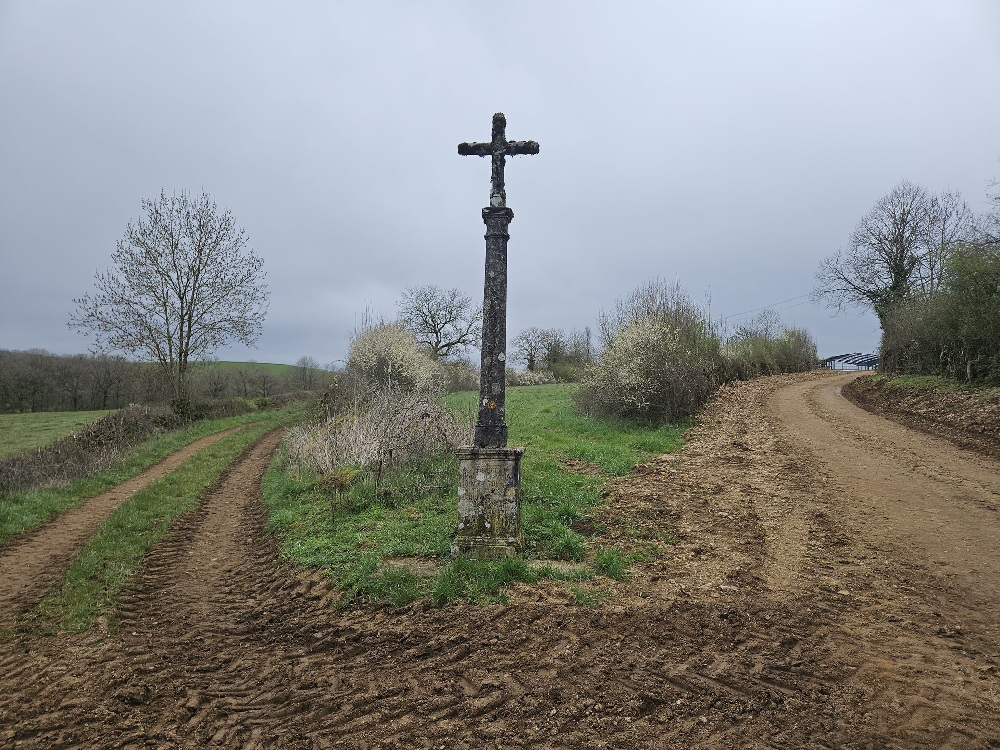 Côte de Marey.