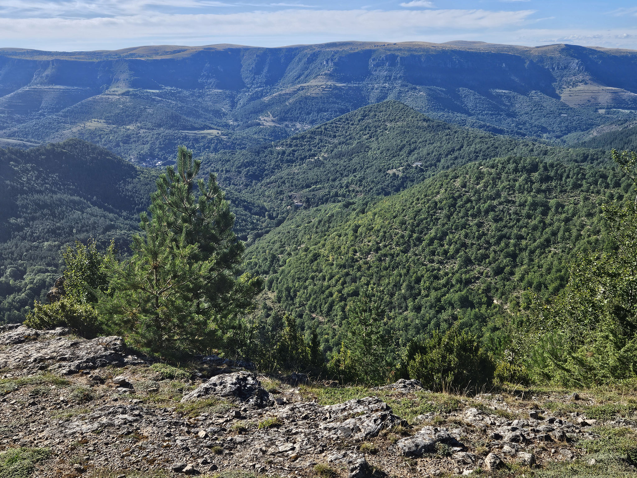 Can de l'Hospitalet. Tarnon-Tal vor Causse Méjean.