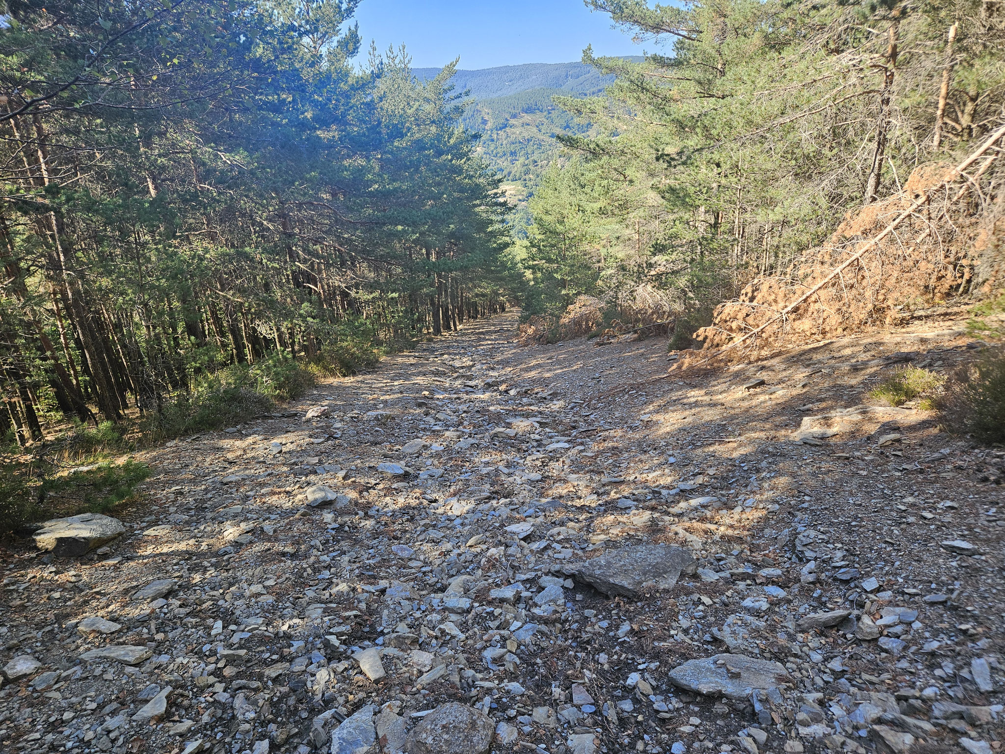 Le Cayla, Abstieg zum Col de Jalcreste.