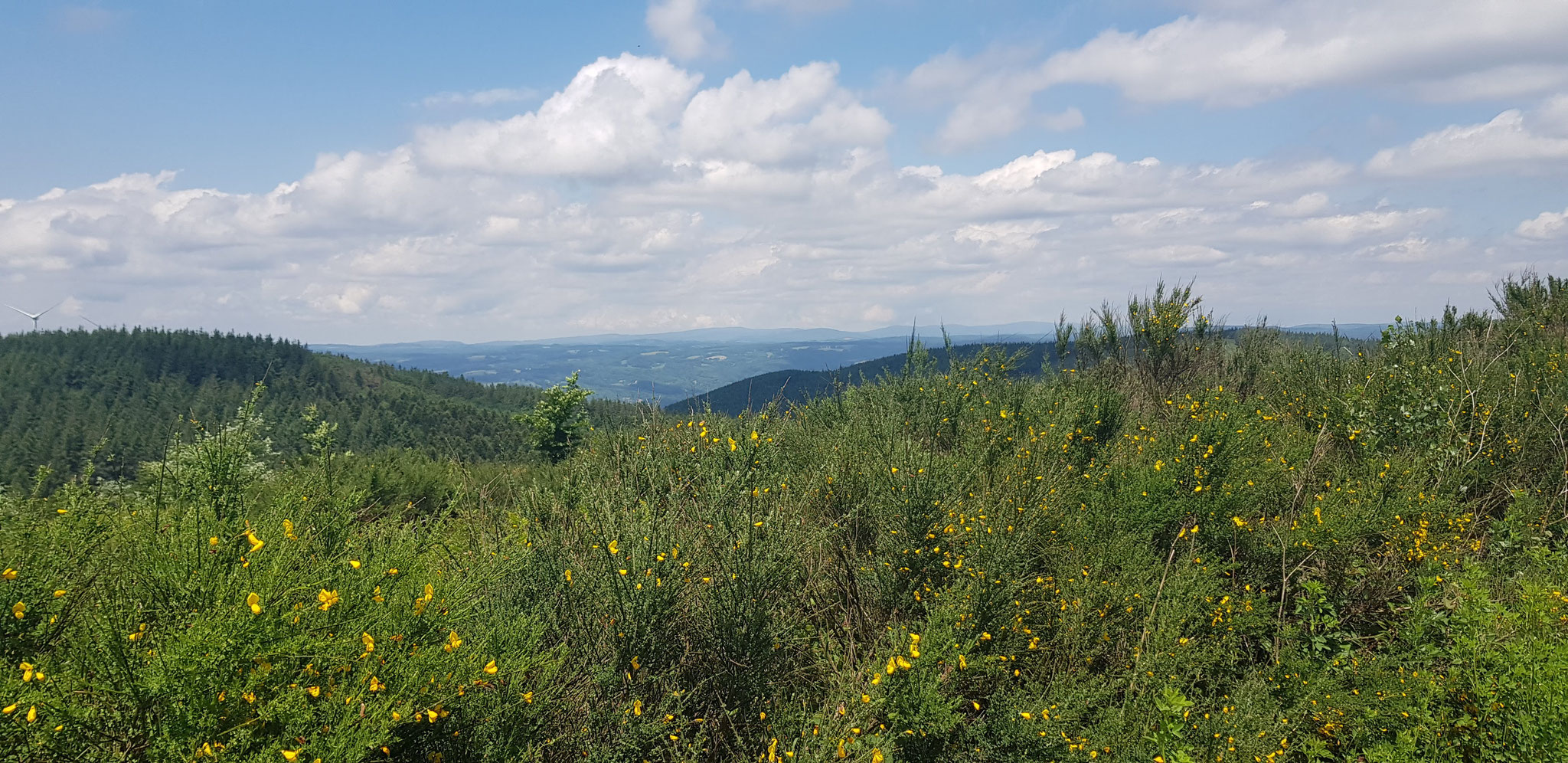 Roc de Peyremaux, Blick nach Norden.