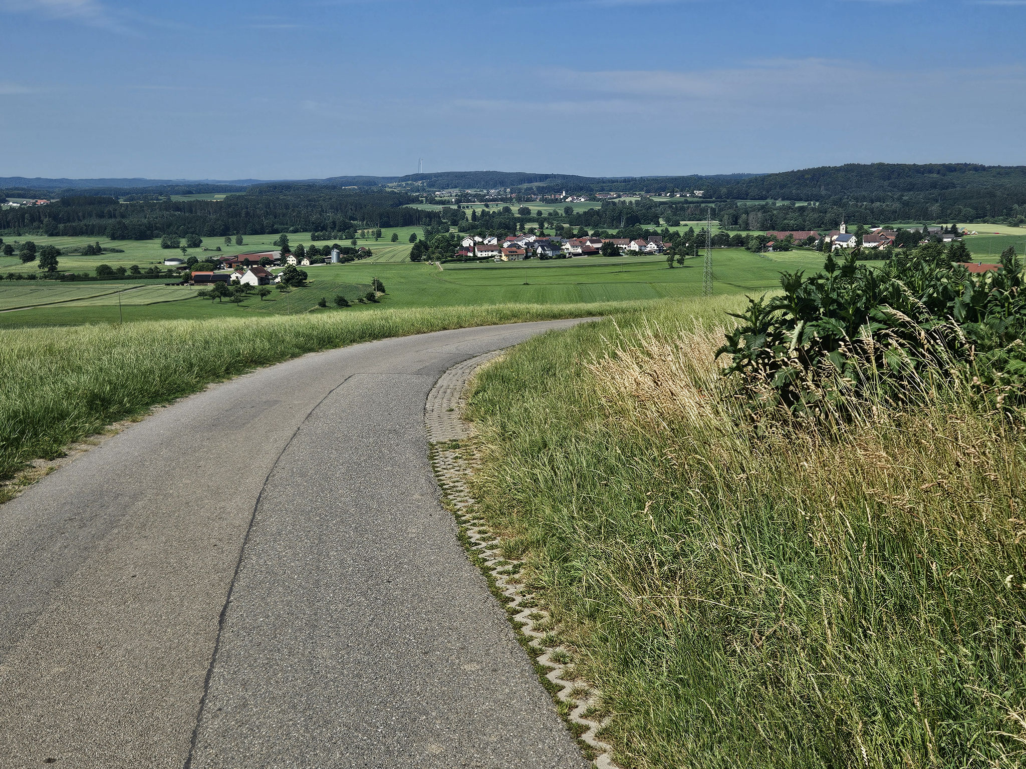 Oberatzenberg, Blick über Booser-Musbacher Ried.