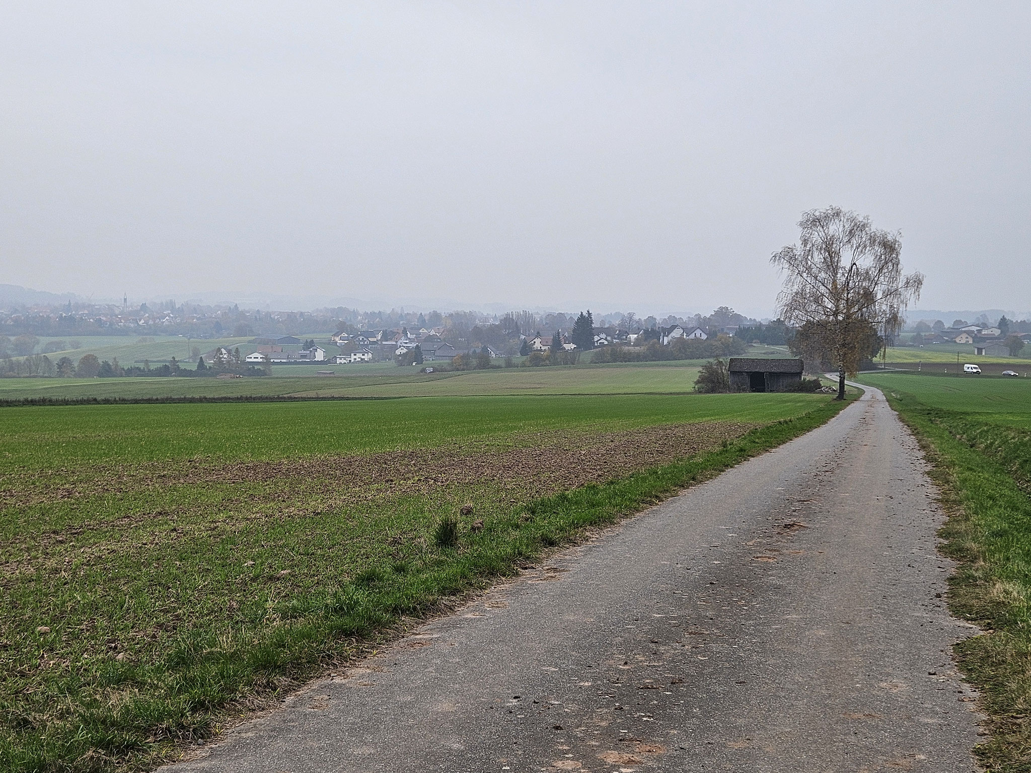 Vor Windischenlaibach.